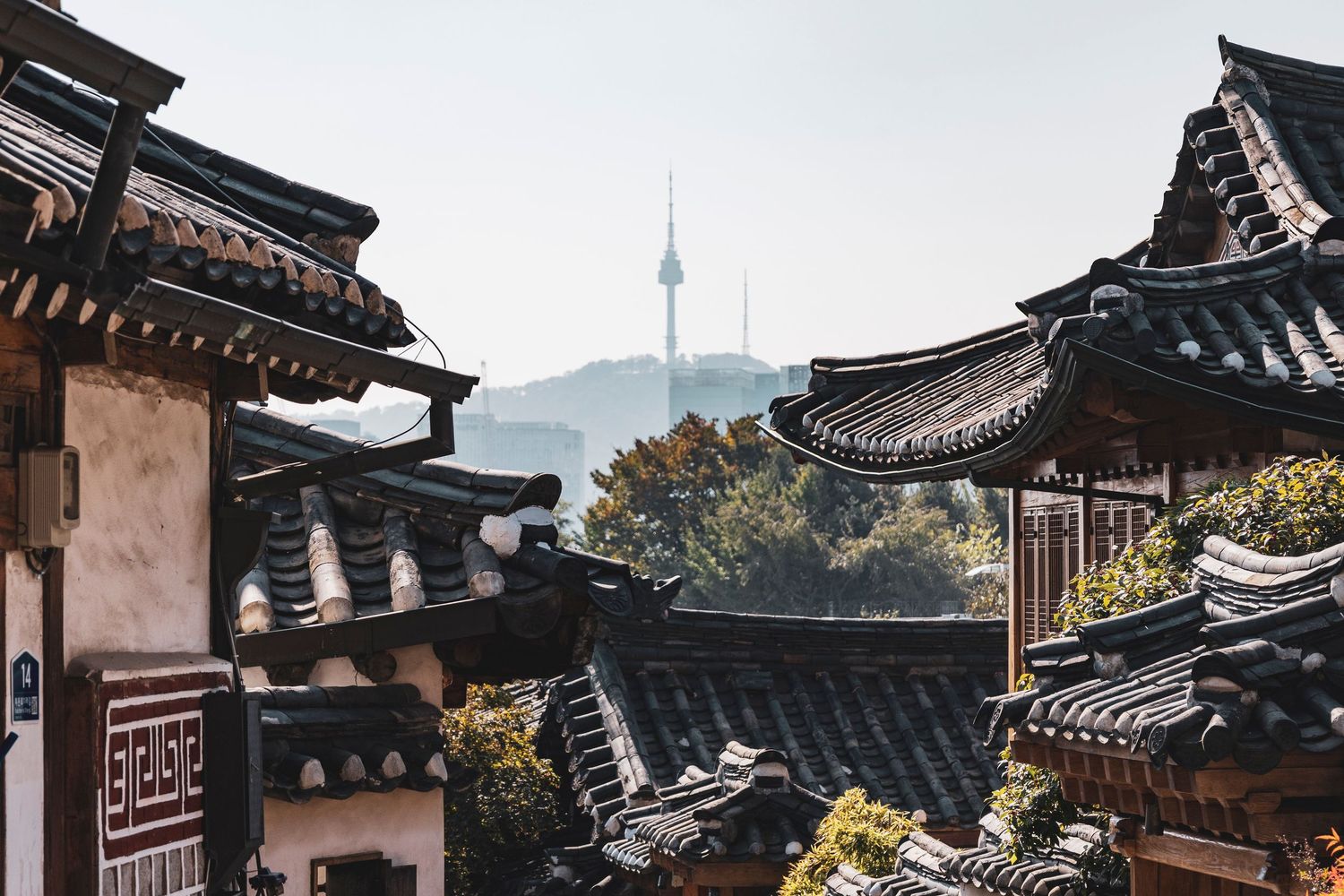 Avontuur Seoul + Tokyo - Byjorinapeene