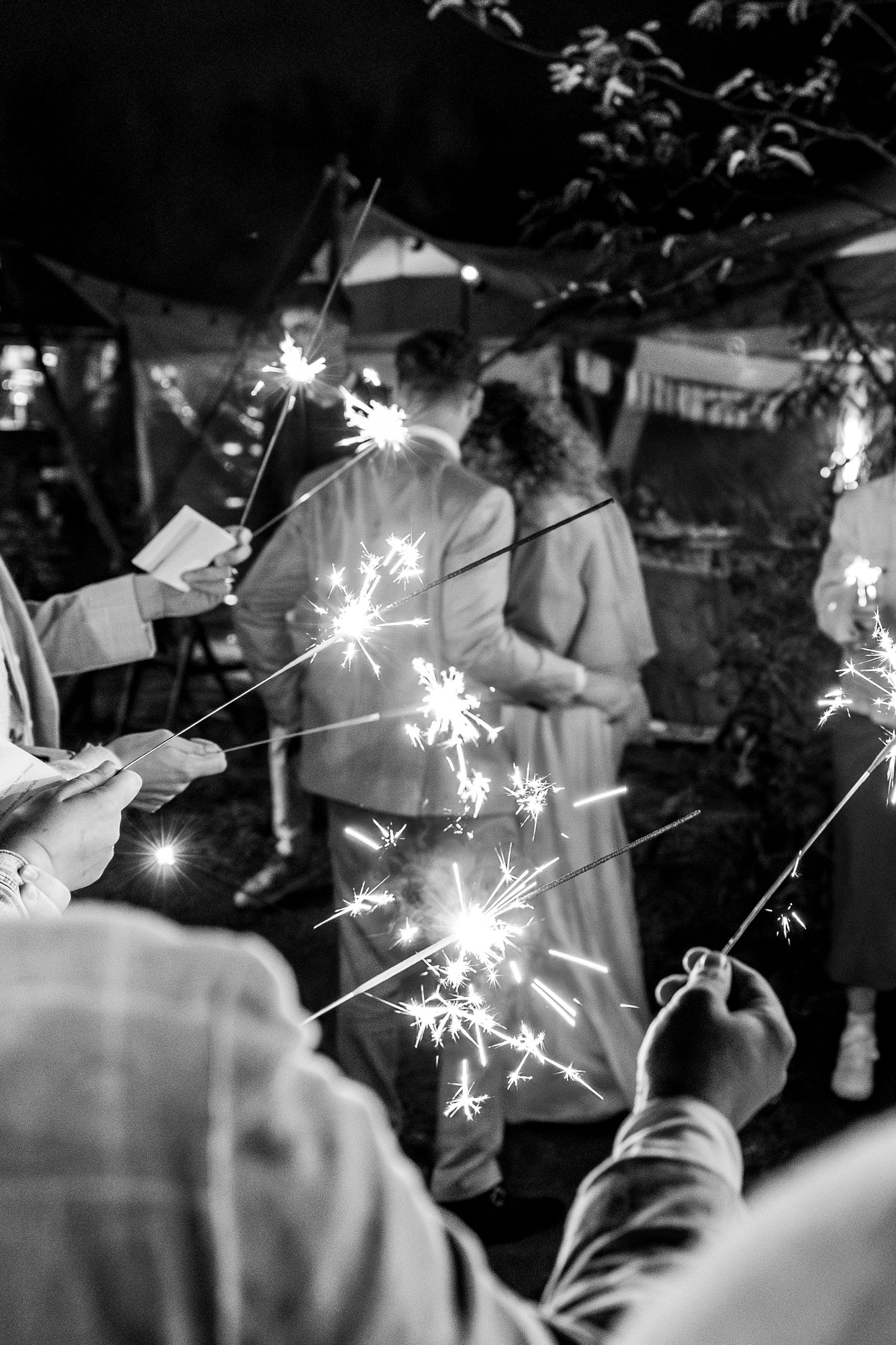 Bruiloftsfeest C+J - Byjorinapeene
Buitenplaats Land van Es, Strijen