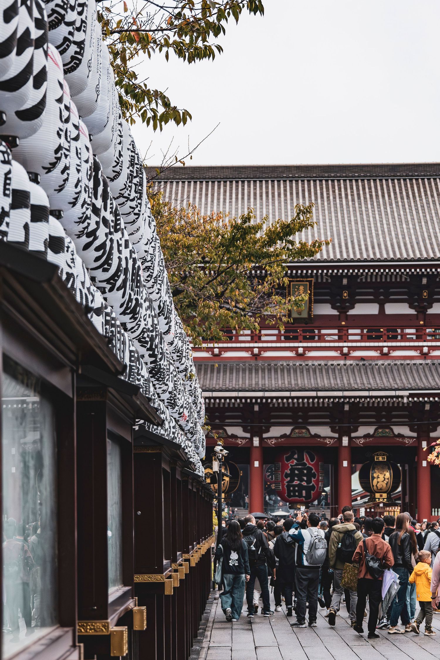 Avontuur Seoul + Tokyo - Byjorinapeene