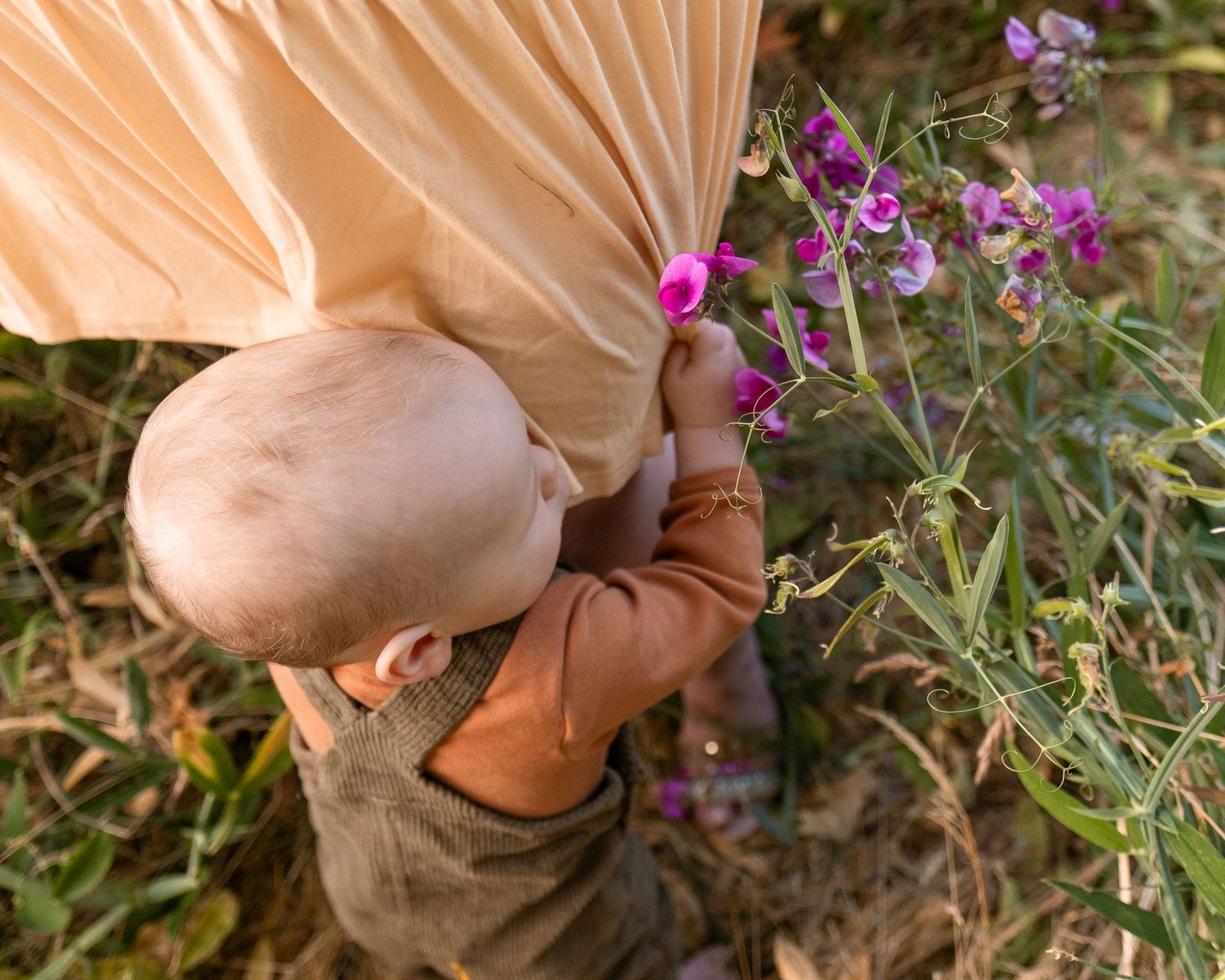 Small toddler in brown clothing reaching up to touch vibrant purple wildflowers growing in a garden.