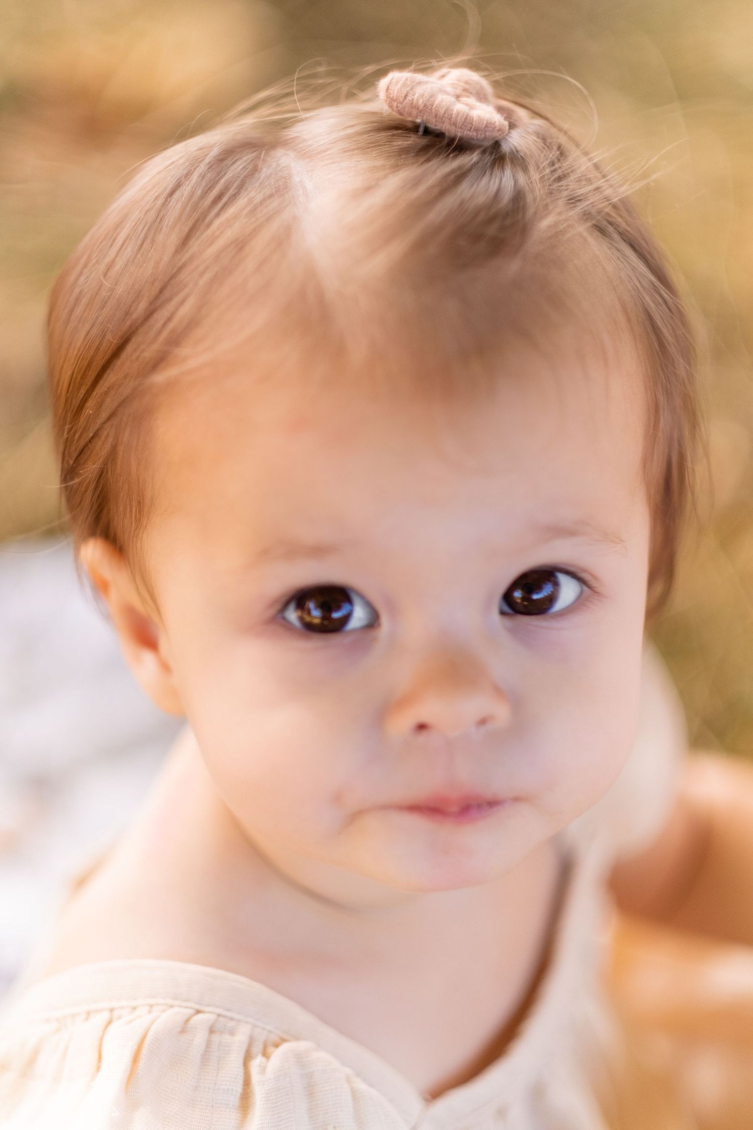Close-up portrait of a toddler with bright brown eyes and rosy cheeks looking directly at the camera.