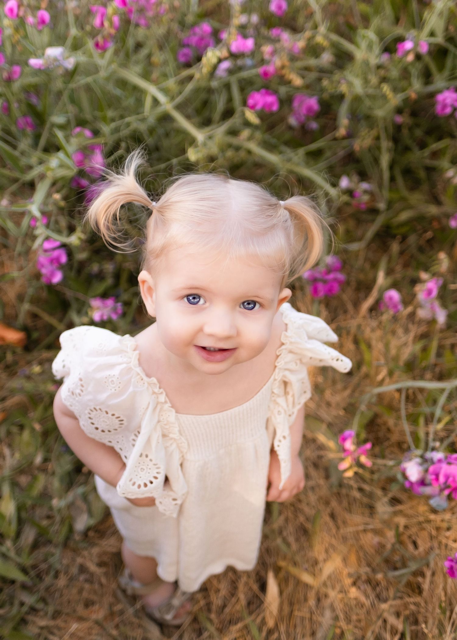 A small child wearing a white eyelet dress stands among vibrant pink wildflowers in an outdoor garden setting.