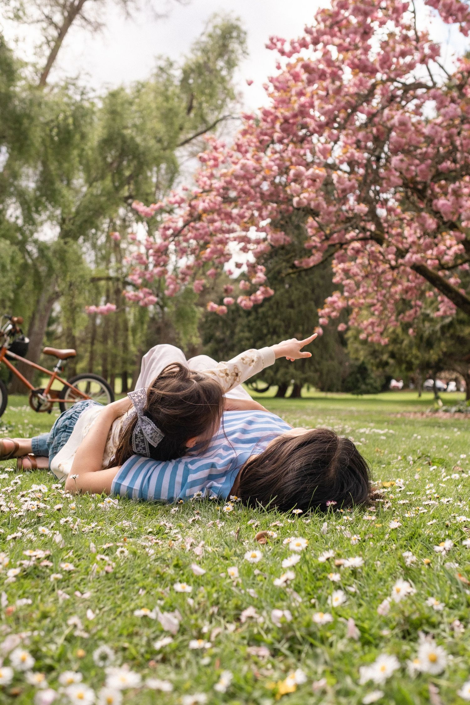 People lying on grass under cherry blossoms enjoying a peaceful spring day.