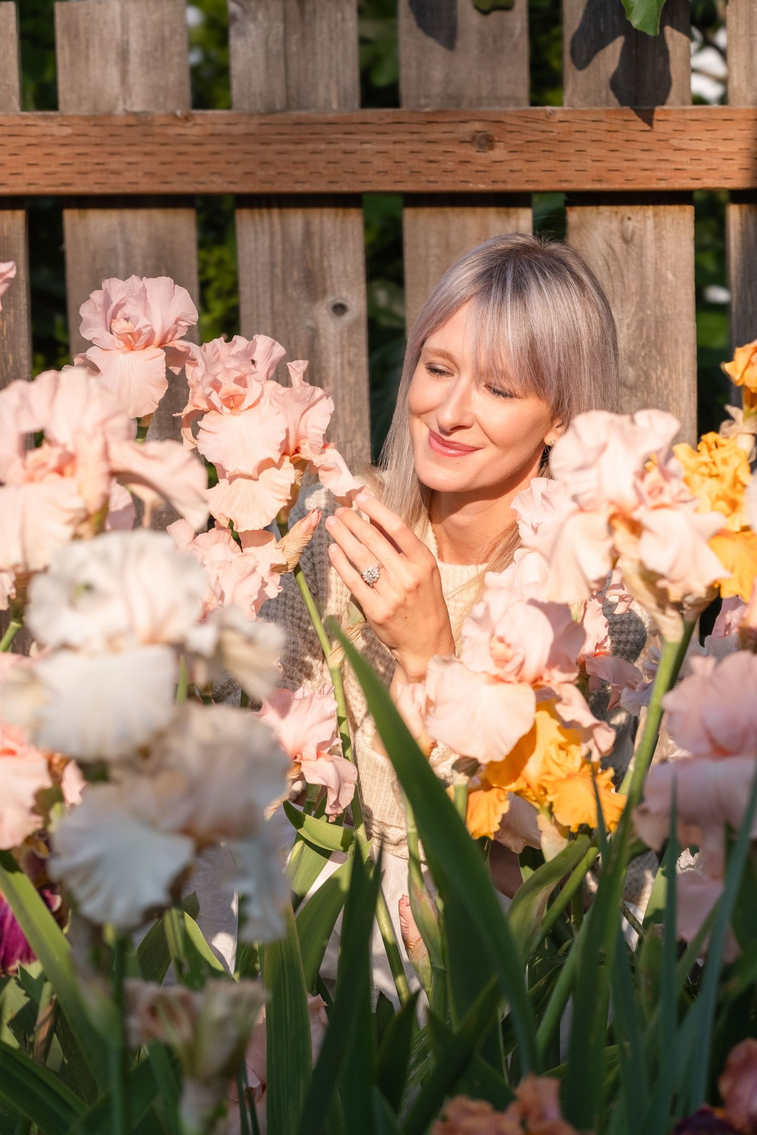 Smiling woman with gray hair admiring pink iris flowers in a sunny garden by a wooden fence.