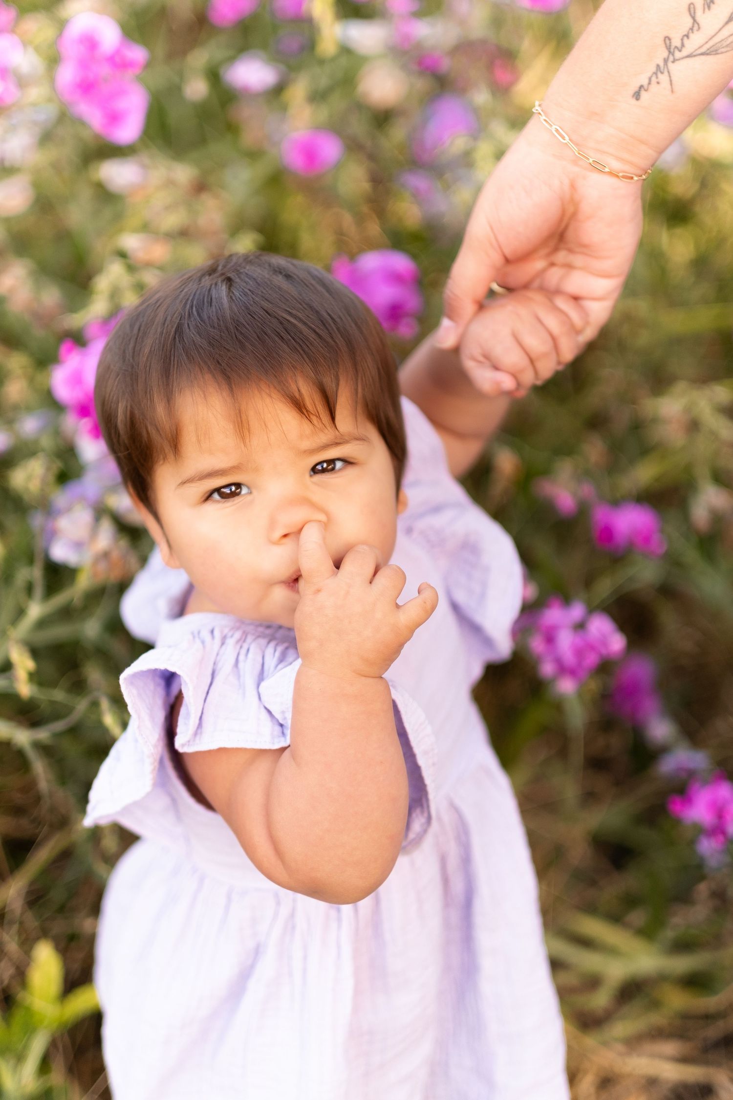 A small child in a purple dress stands among pink flowers while someone holds their hand.
