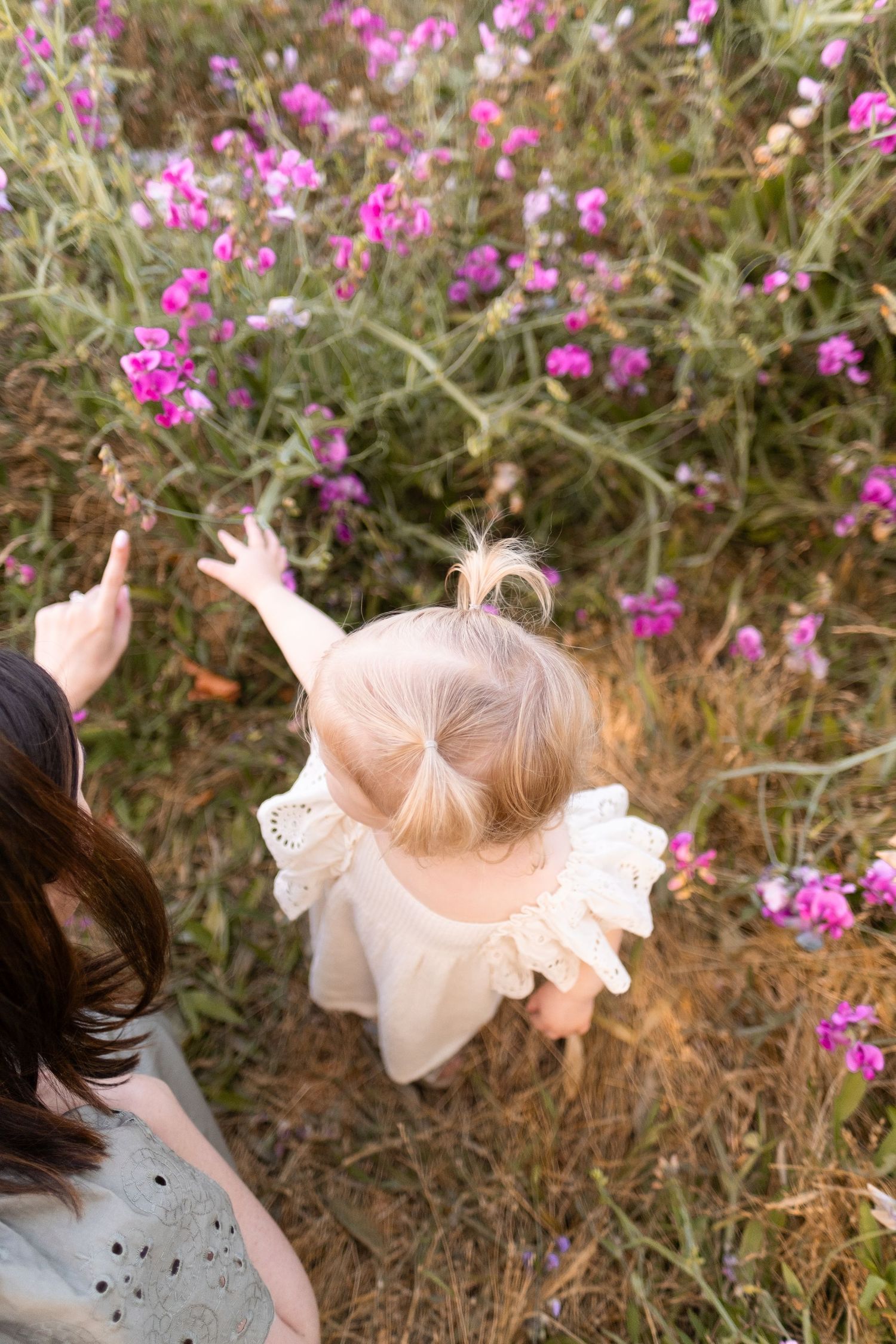A person points upward with a small child amid blooming pink wildflowers in a natural outdoor setting.