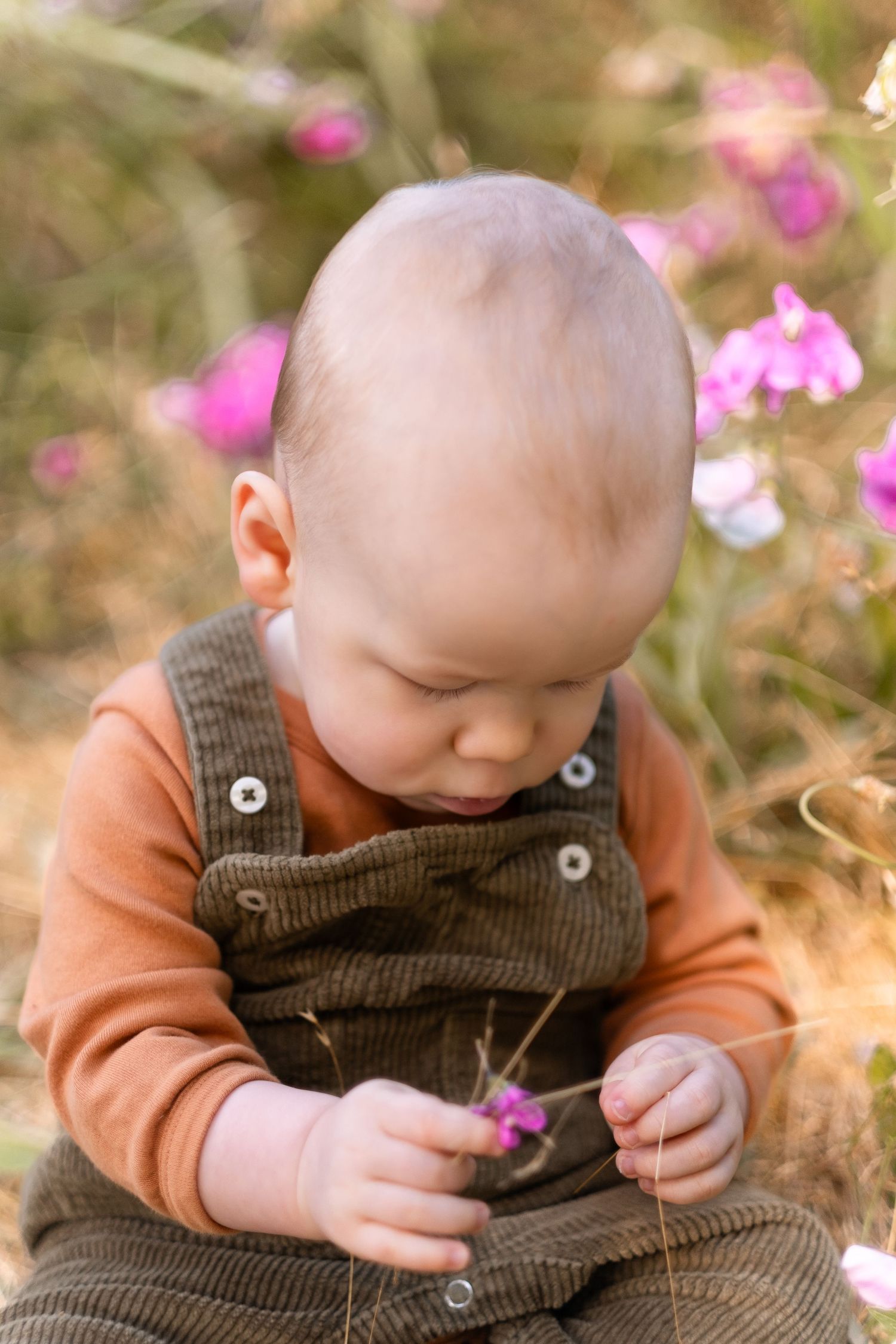 Child in brown corduroy overalls and orange sweater examines pink wildflowers in a meadow.