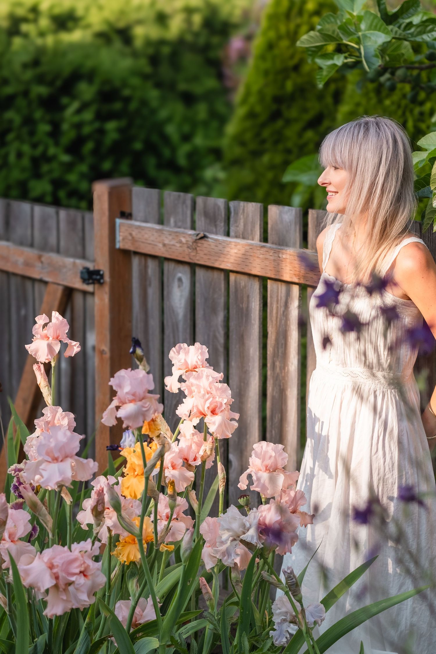Woman in white dress admiring pink and yellow iris flowers growing beside a weathered wooden garden fence.