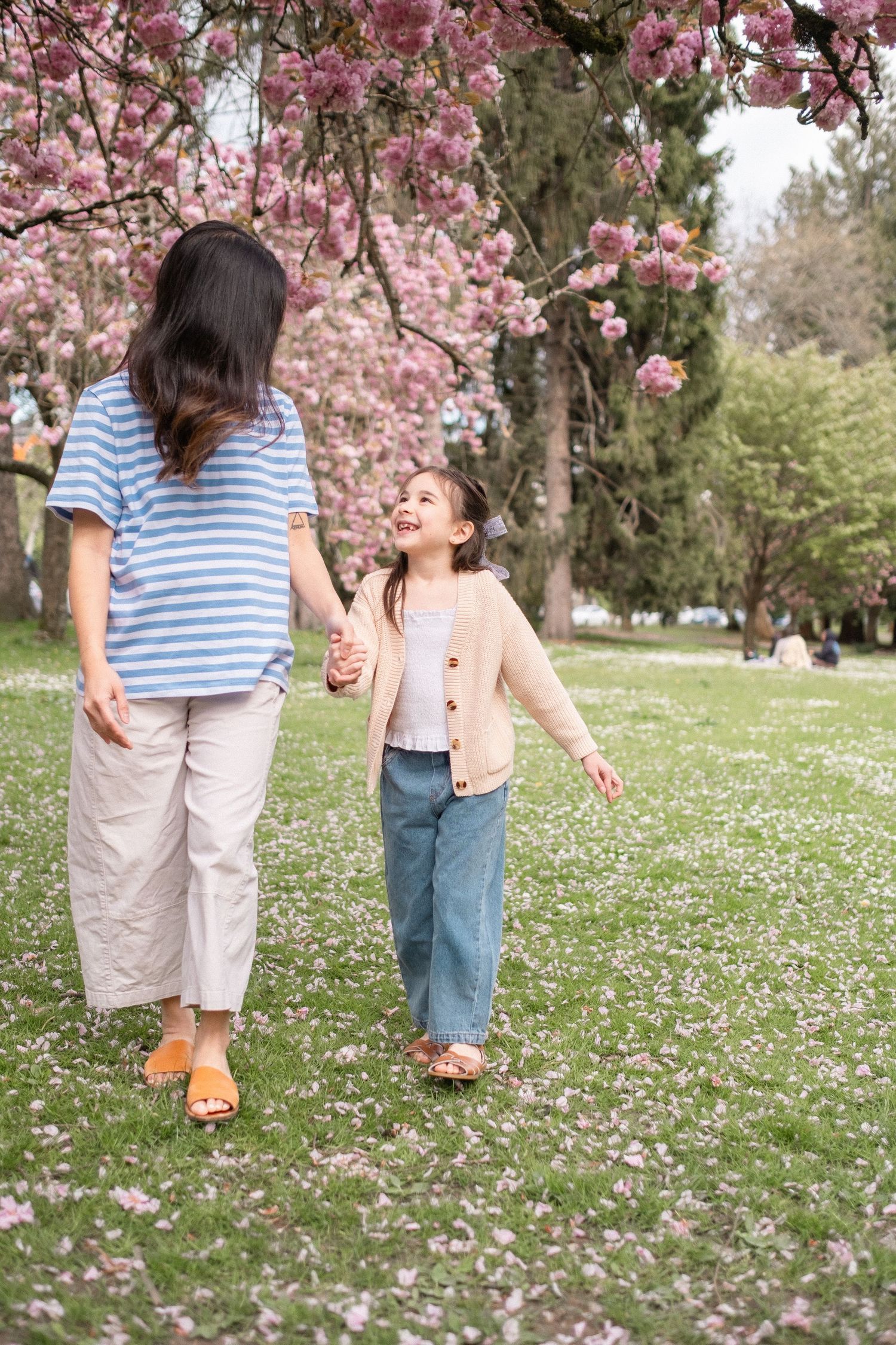 A springtime walk together under pink cherry blossoms with scattered petals on the grass.