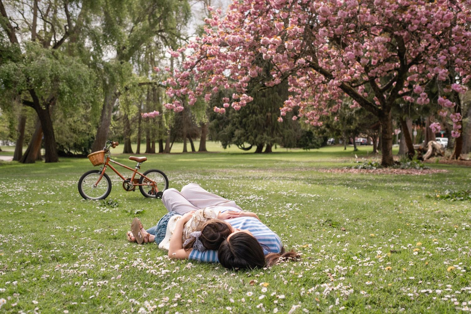 A series of park scenes showing spring blossoms, bicycles, and people relaxing on grass covered with white flowers.