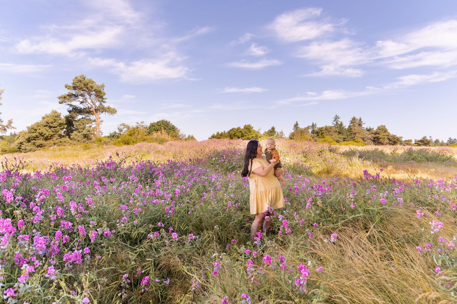 Wildflowers bloom in a vibrant purple meadow under blue summer skies with tall grasses swaying in the breeze.