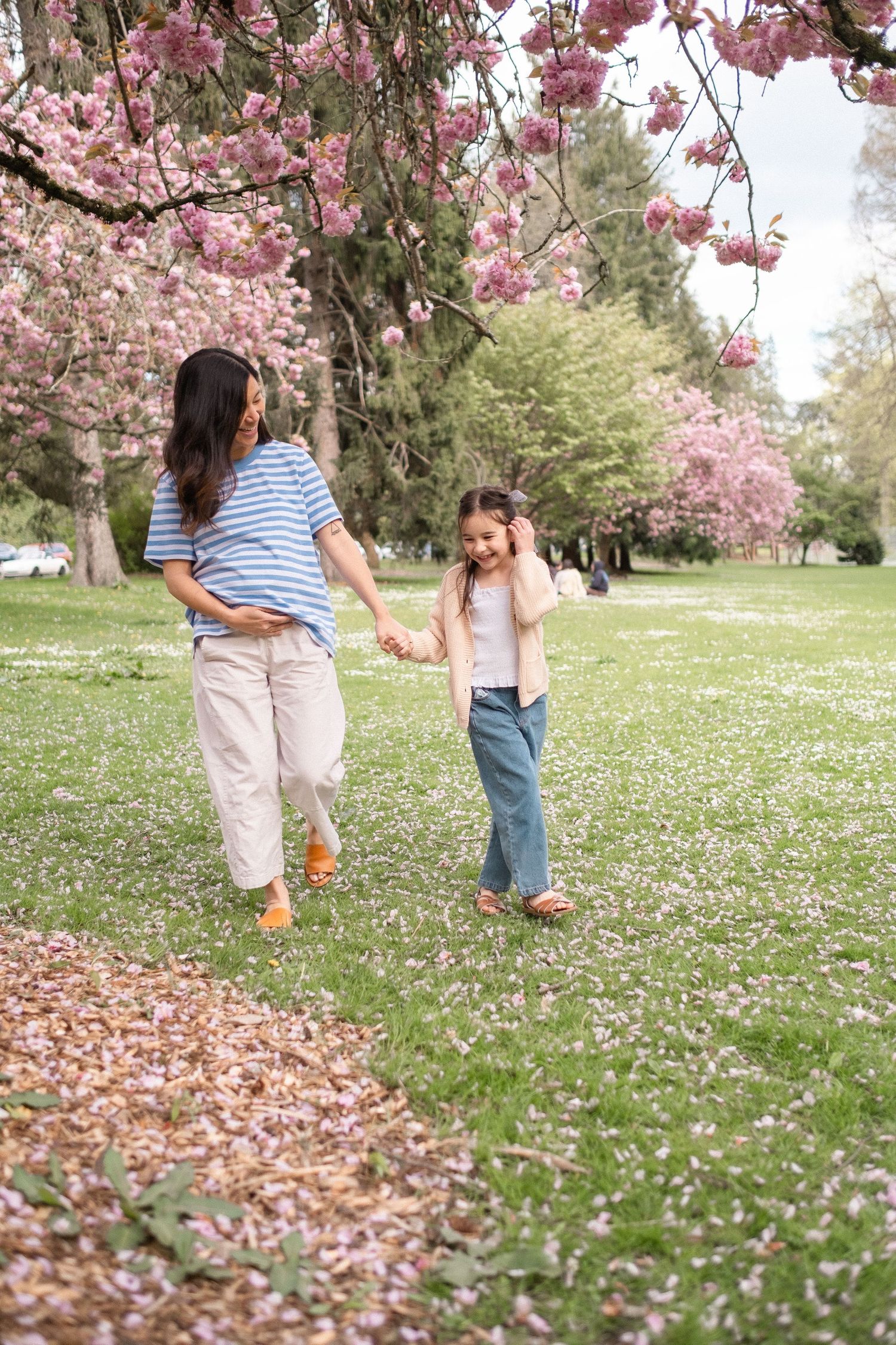 Two people enjoying a spring day under blooming cherry blossom trees in a park with scattered petals on the grass.