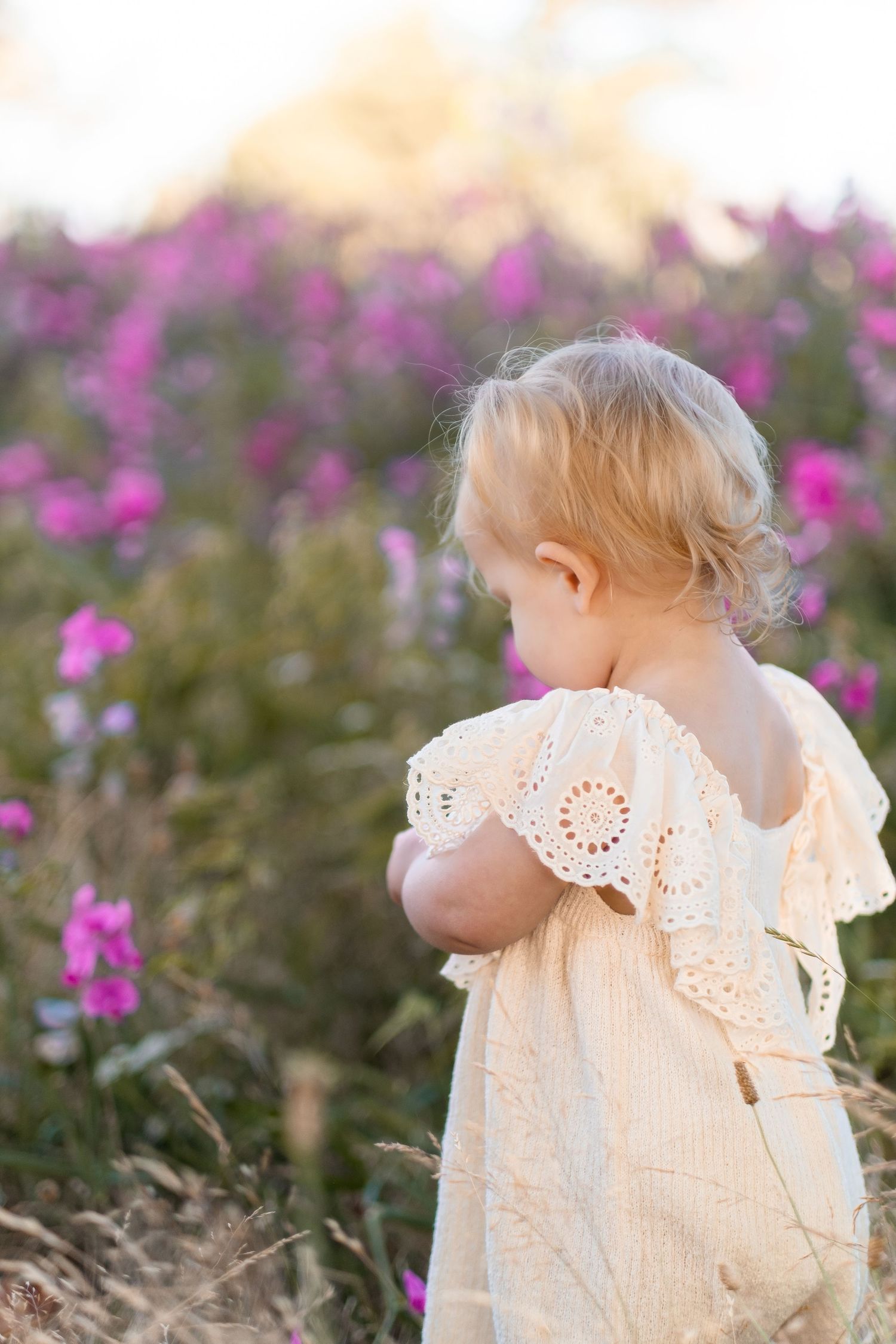 A toddler wearing a cream eyelet dress looks into a field of pink wildflowers on a sunny day.