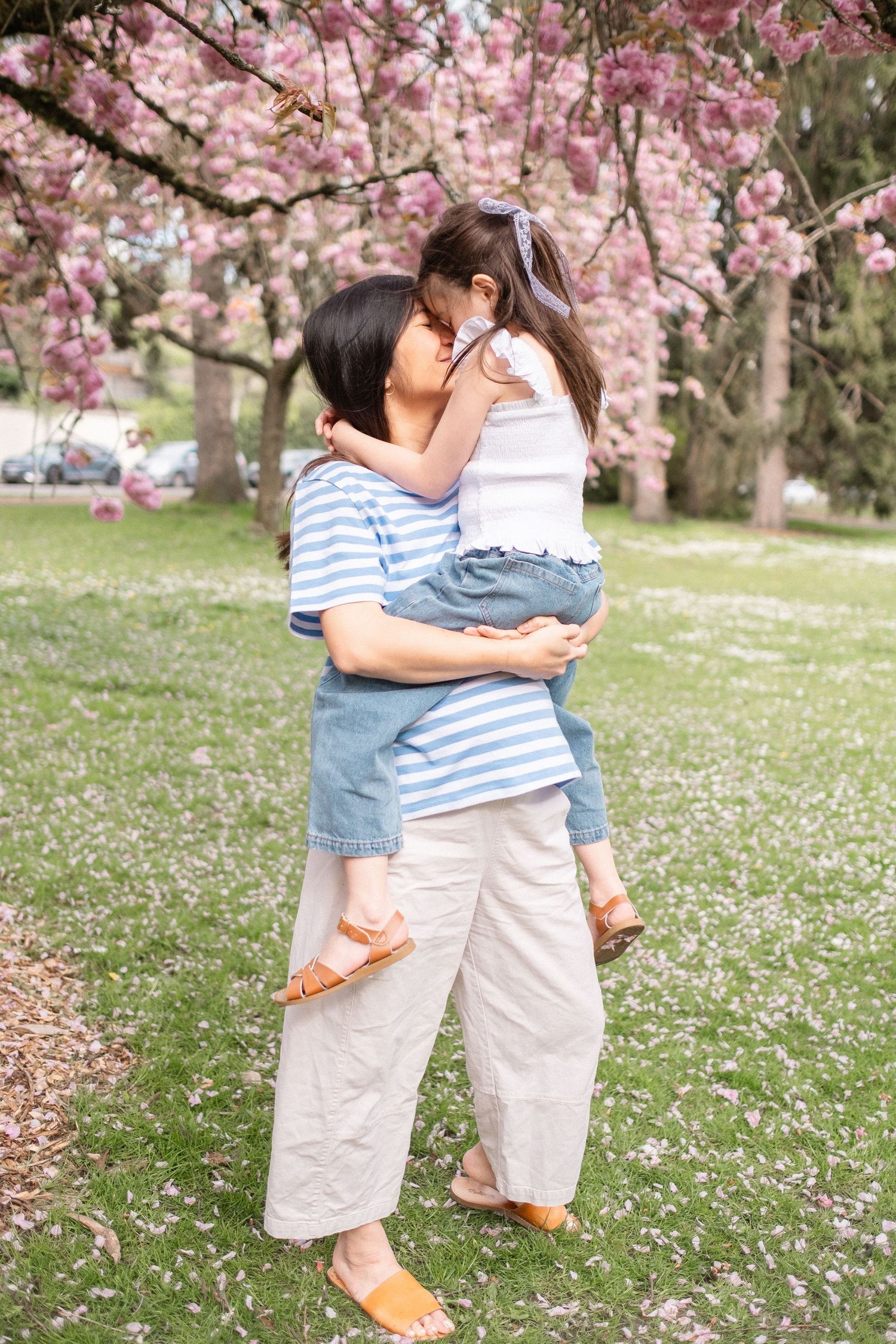 A tender embrace under blooming cherry blossom trees in a spring park with scattered petals on the grass.