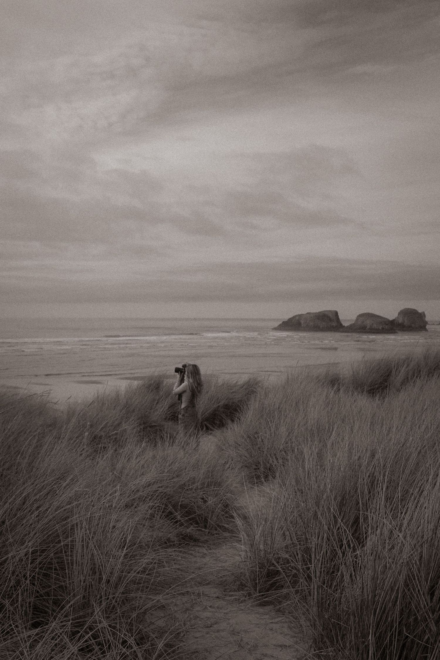 A moody black and white panoramic view of sand dunes with tall grass and cloudy skies along a coastal beach.