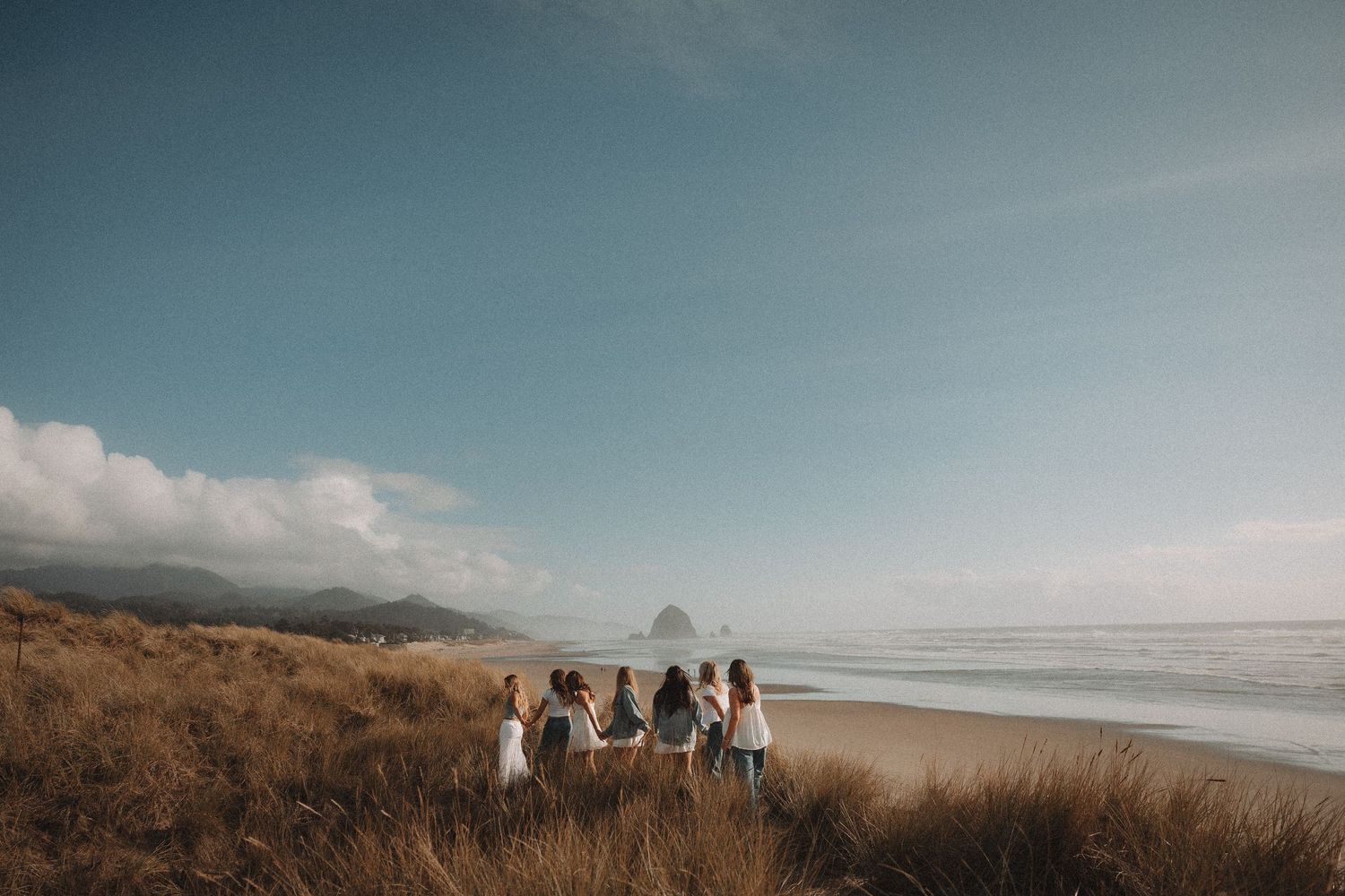 Group of friends holding hands on a grassy coastal dune overlooking a scenic beach with rock formations.