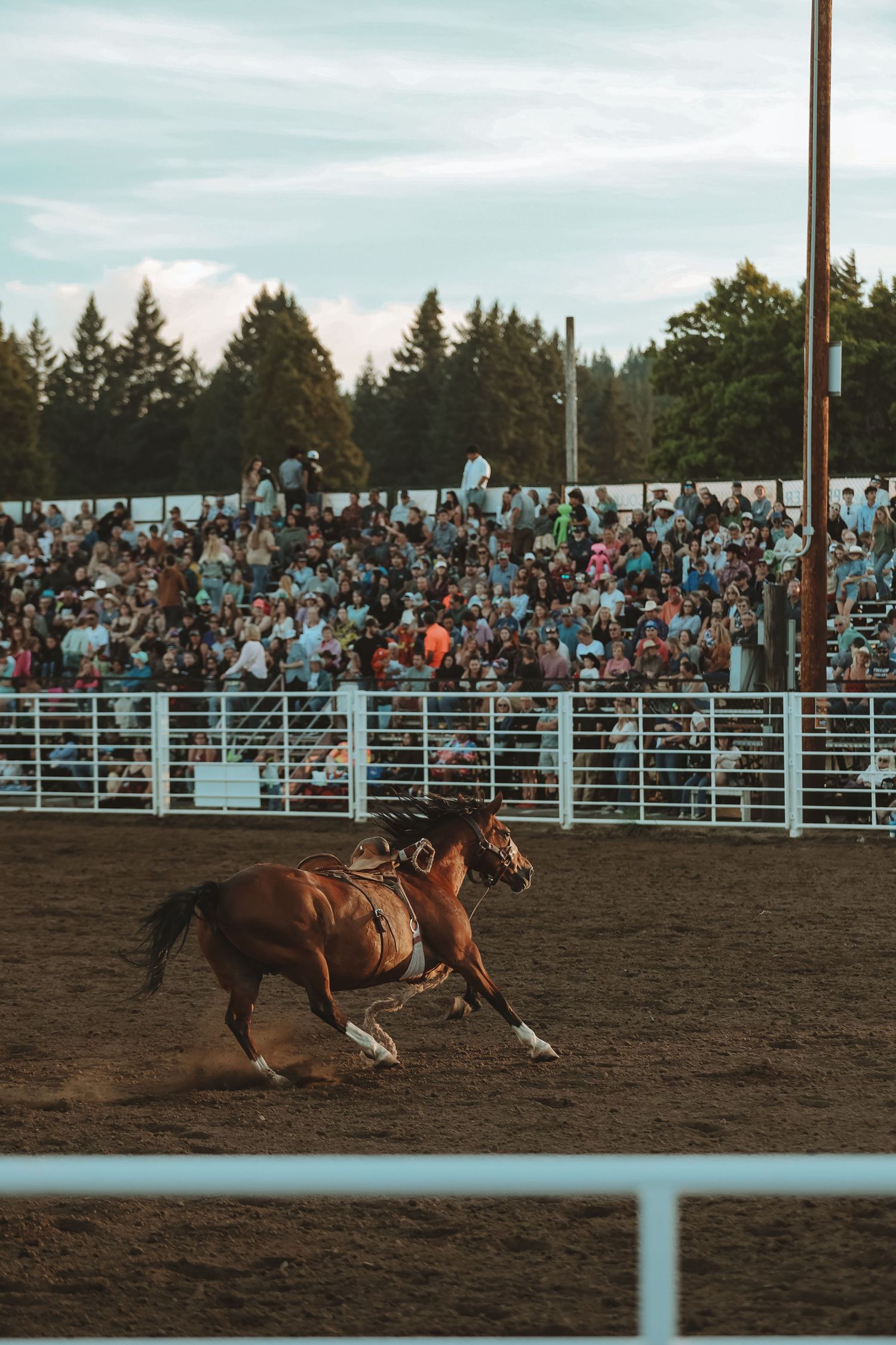 Horse gallops across rodeo arena during competition with crowded grandstands in background.