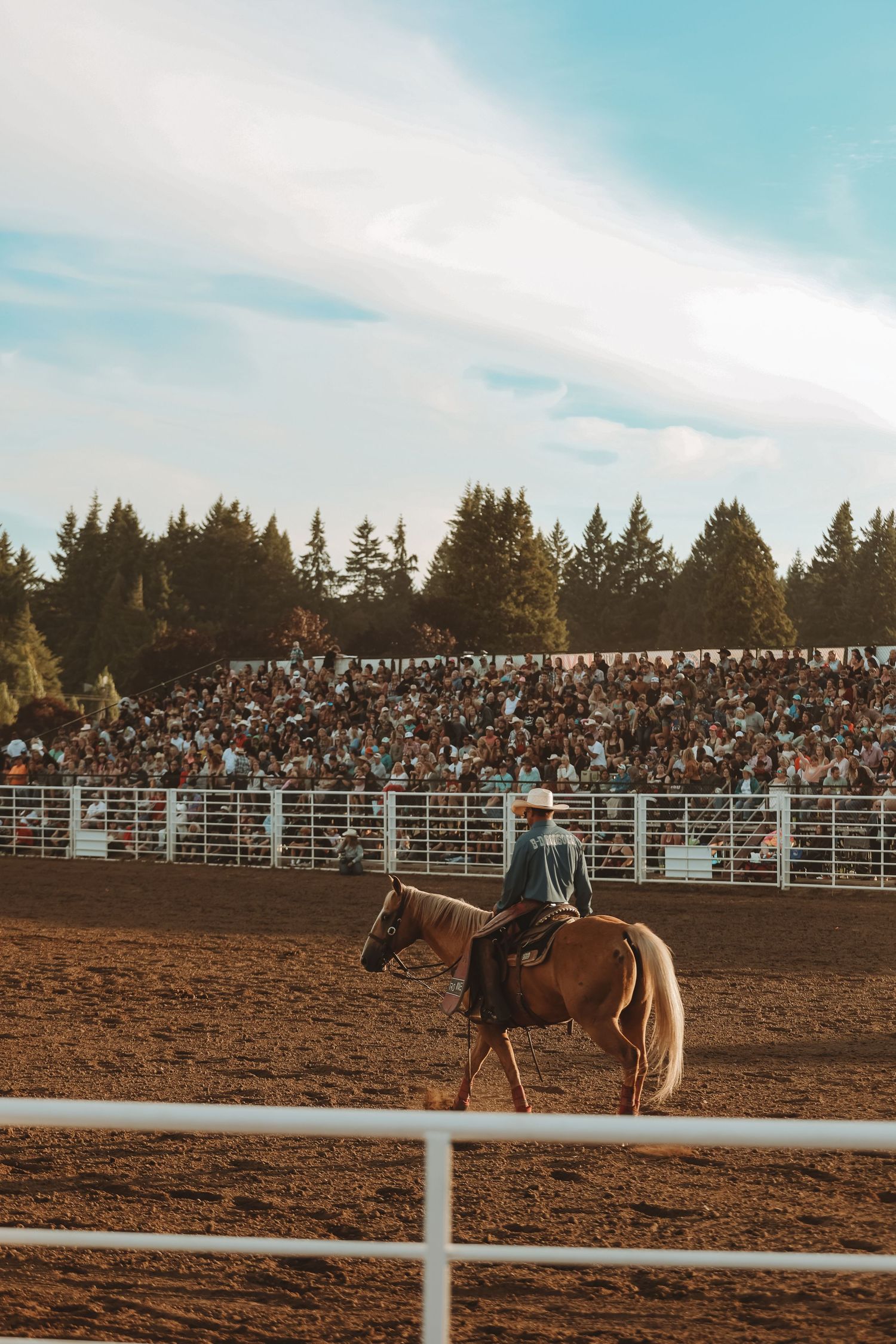 Lone rider on horseback performing in a rodeo arena with crowded bleachers and evergreen forest backdrop.