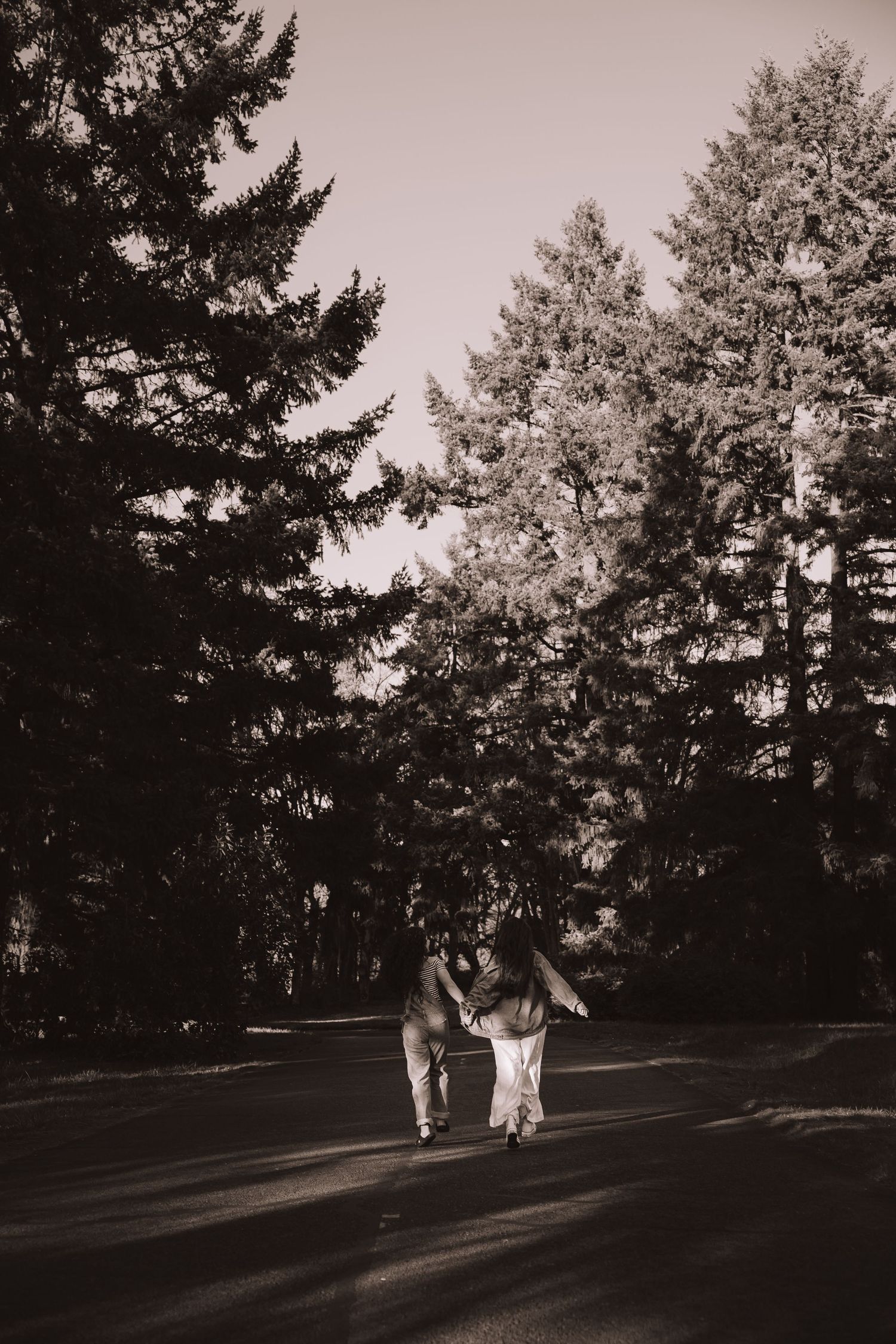 Two people holding hands walking down a road lined with tall pine trees in sepia tone.