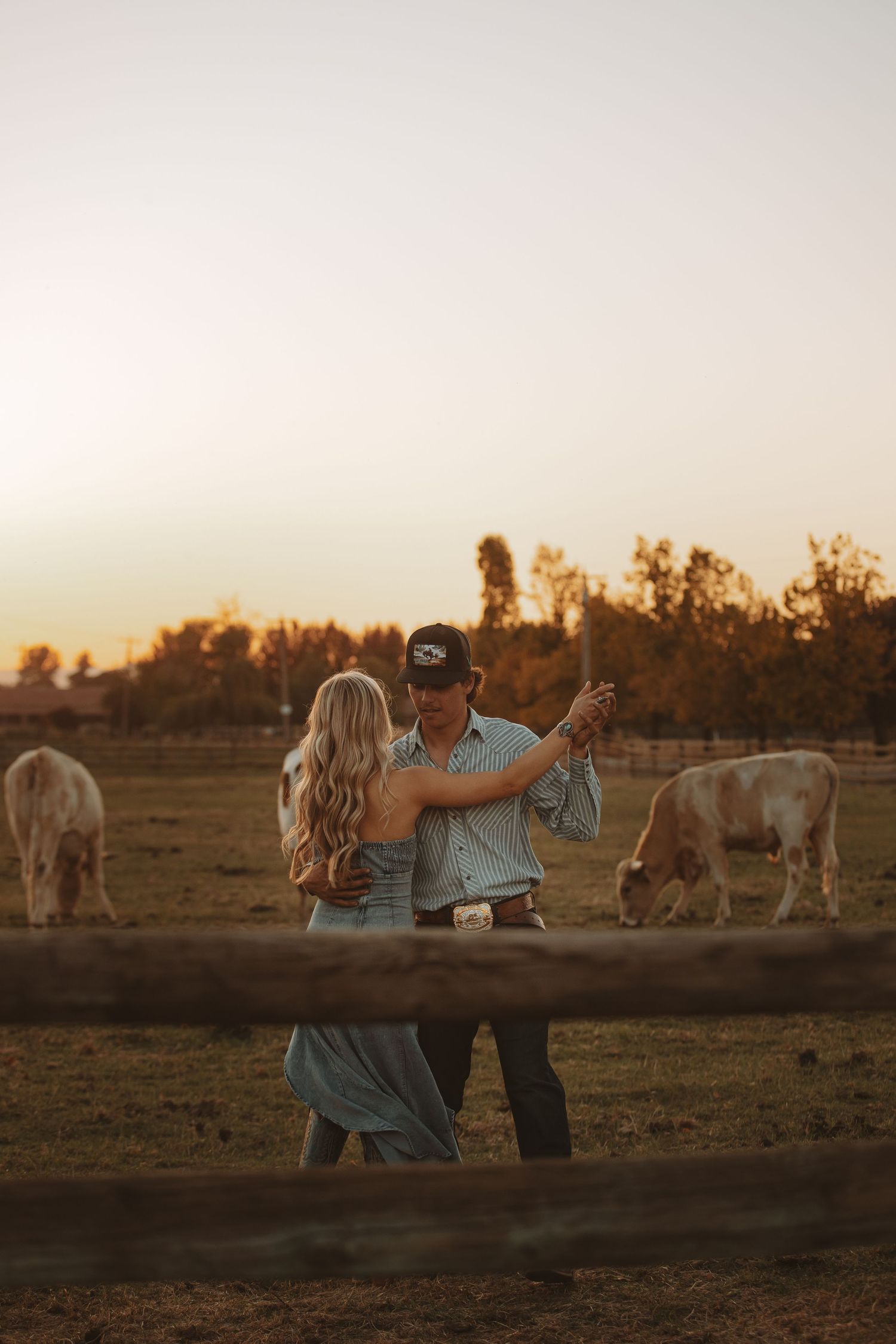 Couple slow dancing at sunset near a wooden fence with grazing cattle on a scenic farm.