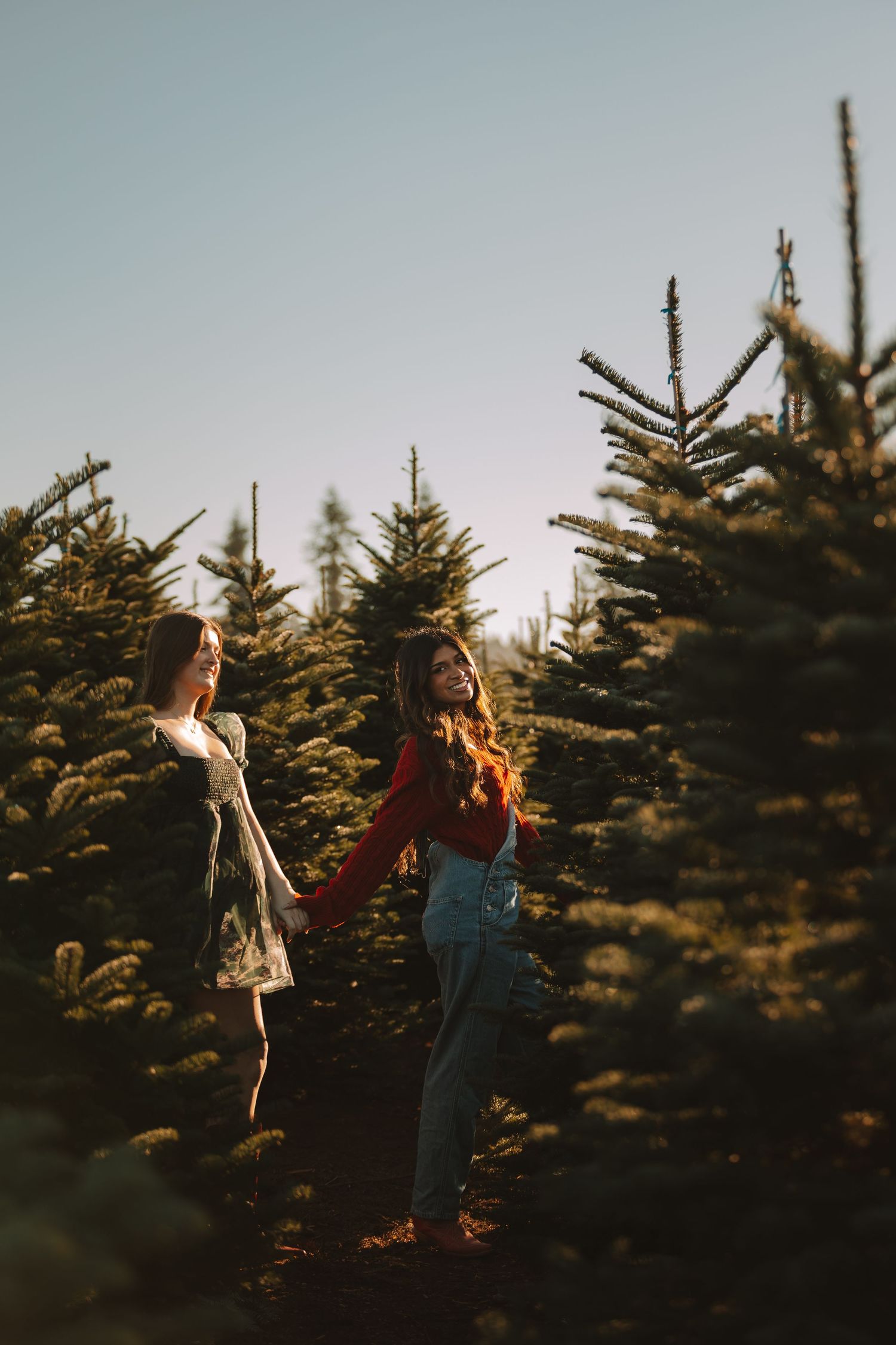 Two people dance together between rows of evergreen trees in golden evening light.