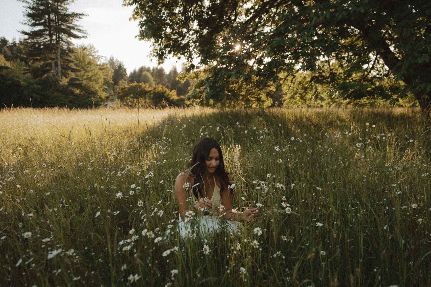 A woman in a white dress sits among wildflowers in a sunlit meadow surrounded by tall grass and trees.