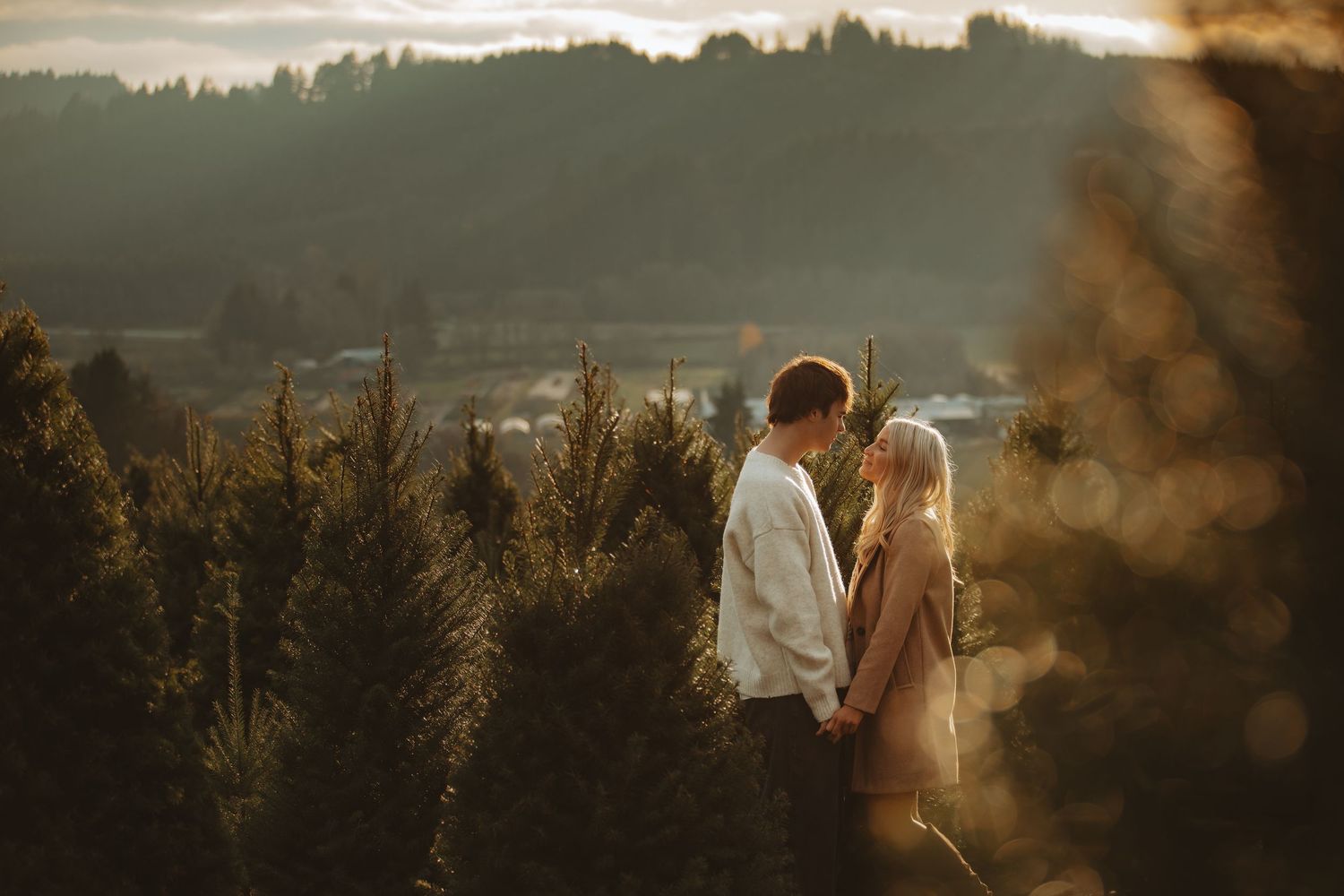 Golden sunlight illuminates a romantic mountain overlook scene with evergreen forest backdrop.