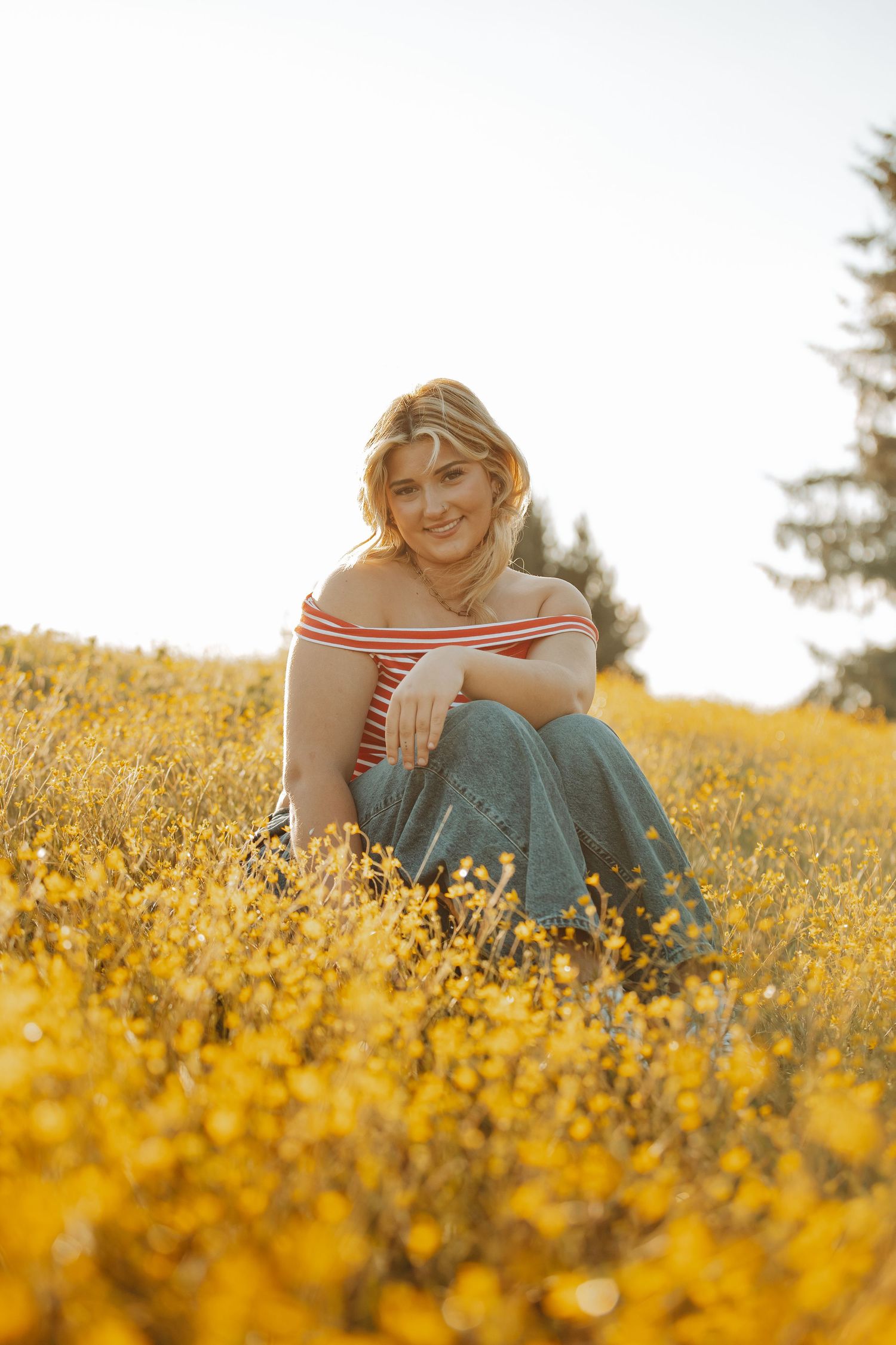 Person sitting in a vibrant yellow wildflower field during golden hour.
