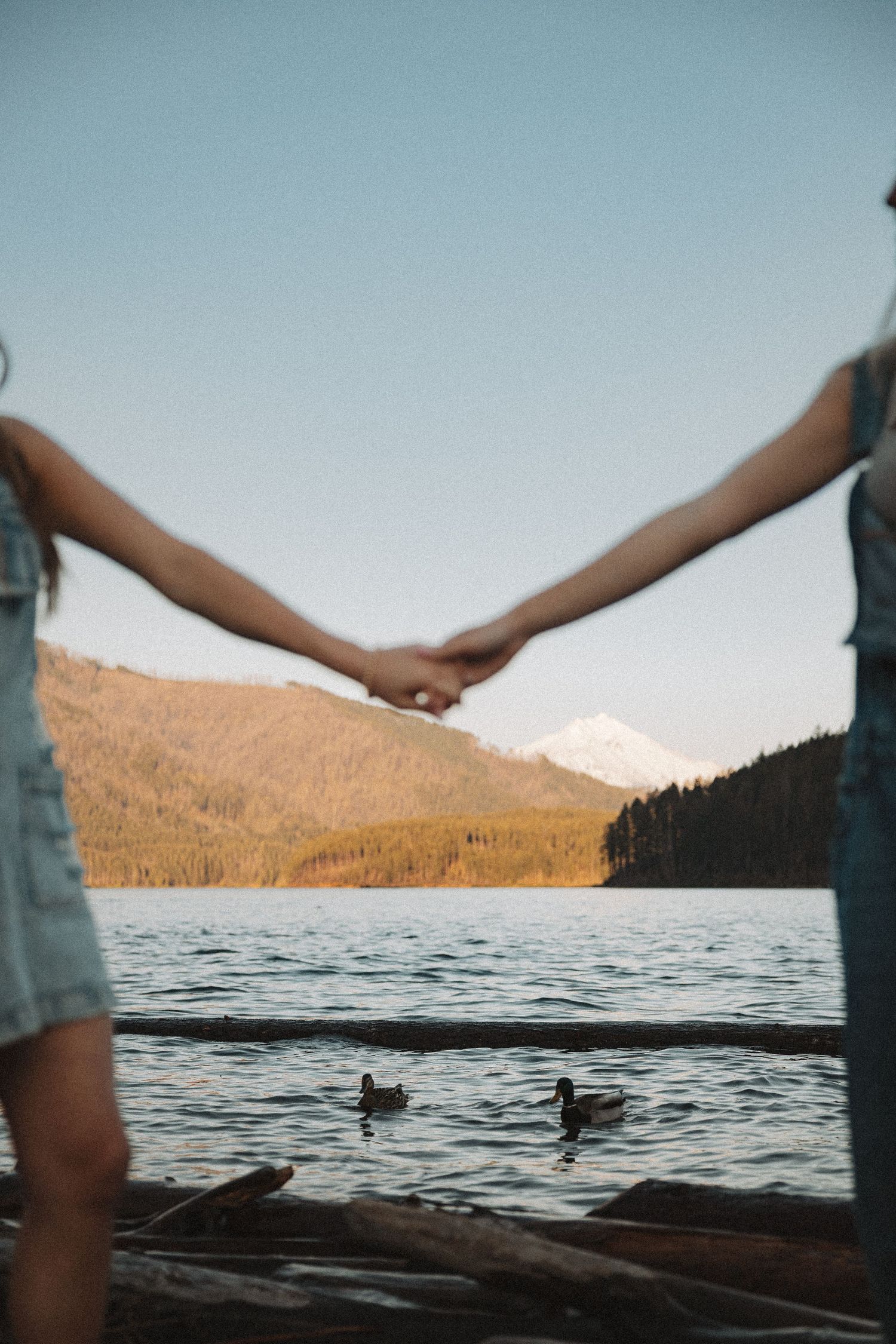 Two people hold hands facing a serene mountain lake with ducks swimming in the water.