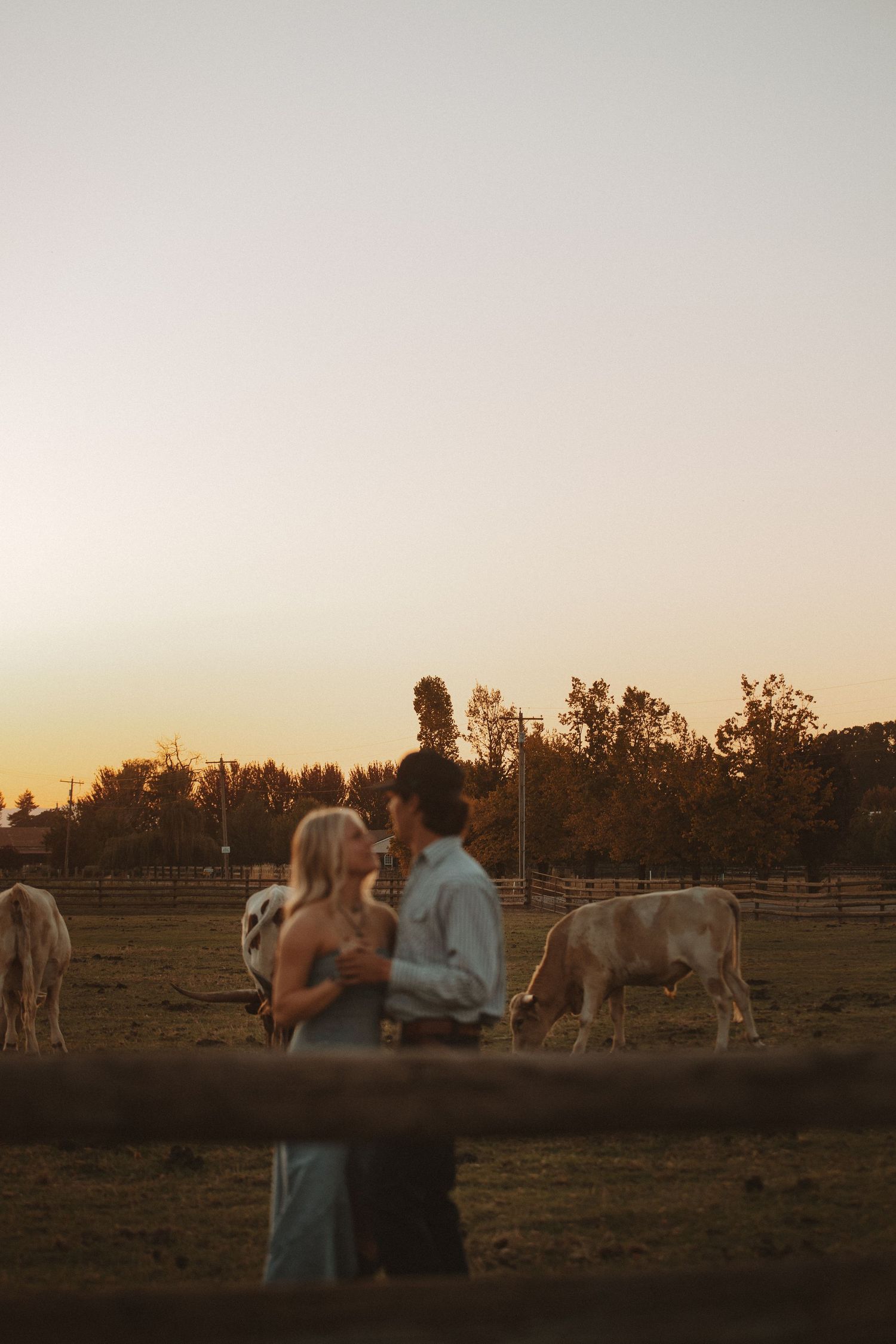 Romantic sunset photoshoot in a field with horses grazing in the background.