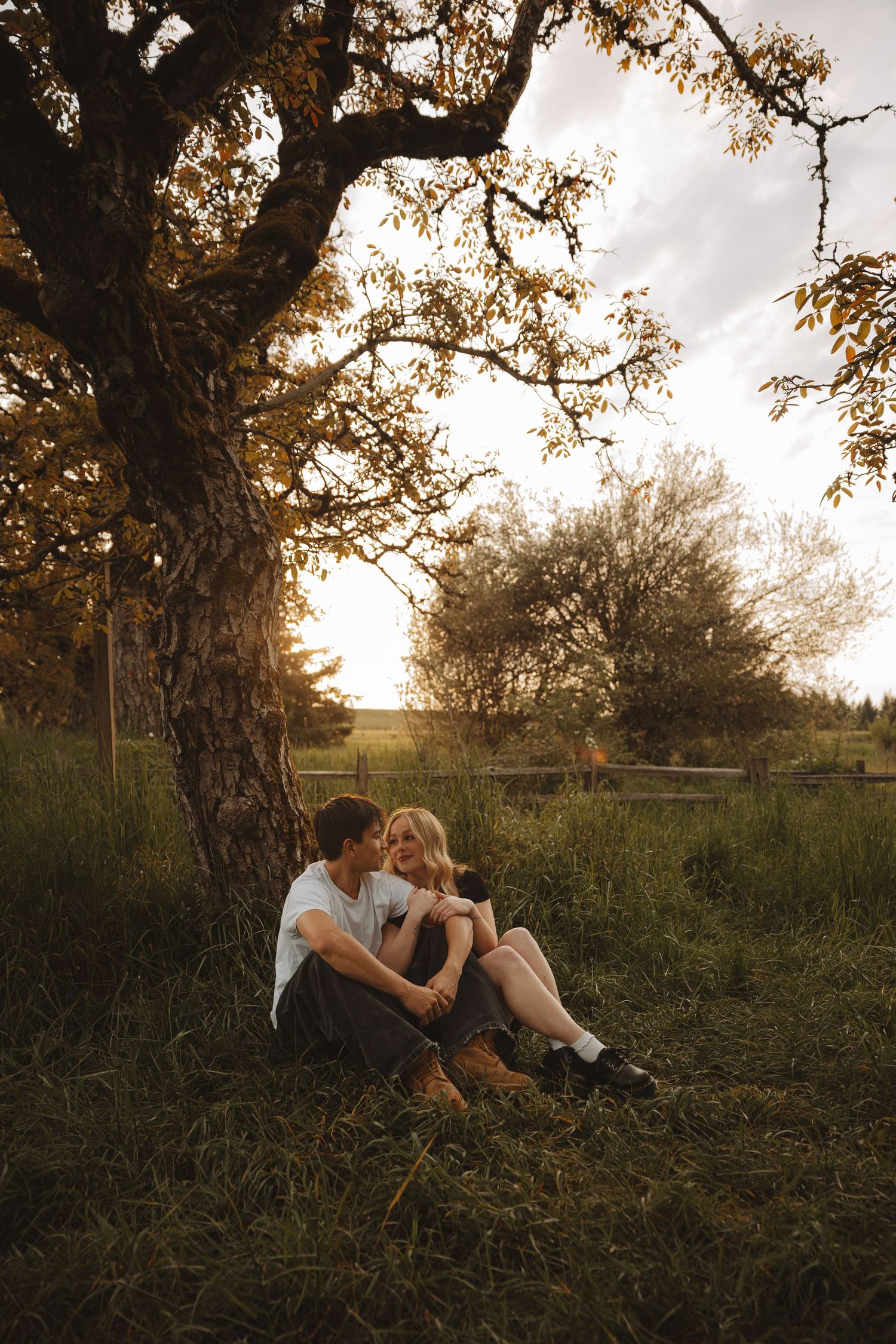 Romantic couple sitting together under a large tree in a lush green field during golden sunset light.