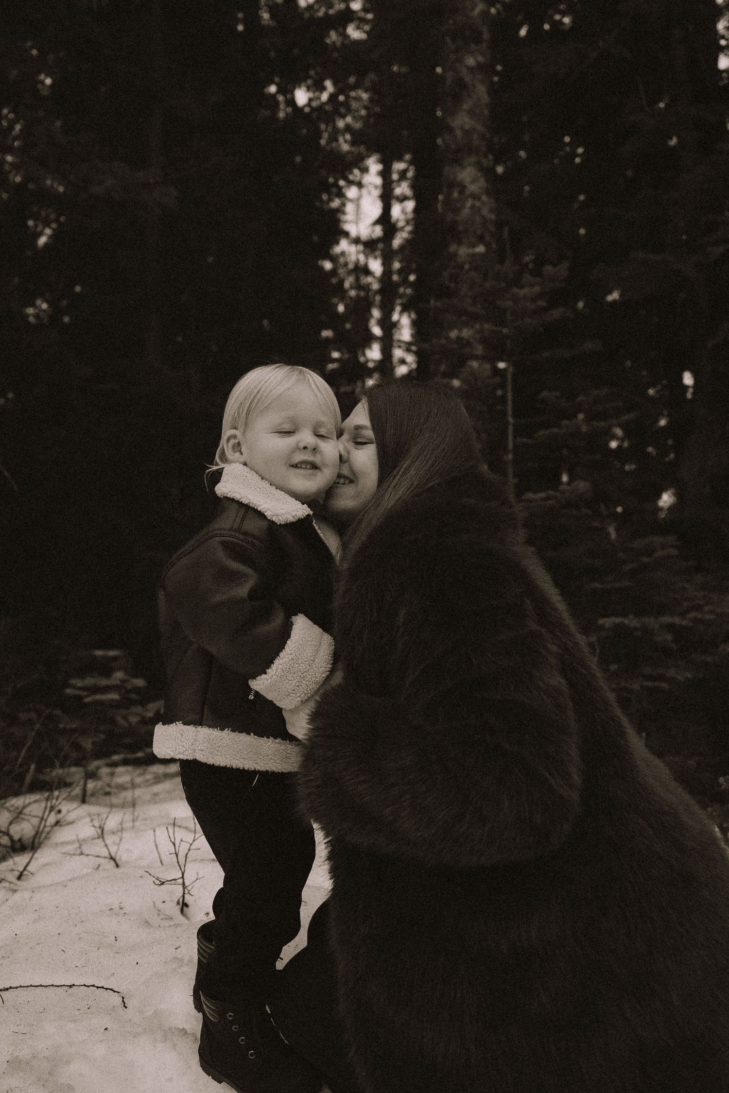 An intimate family portrait captured against a backdrop of snow-covered evergreen trees.
