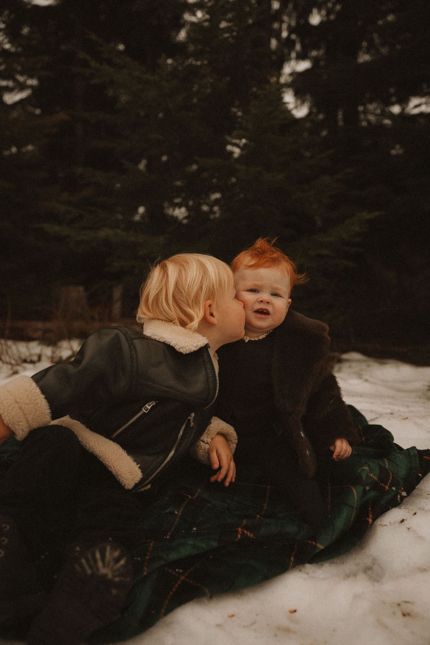 Family members lie together in the snow during a winter photo session in the woods.