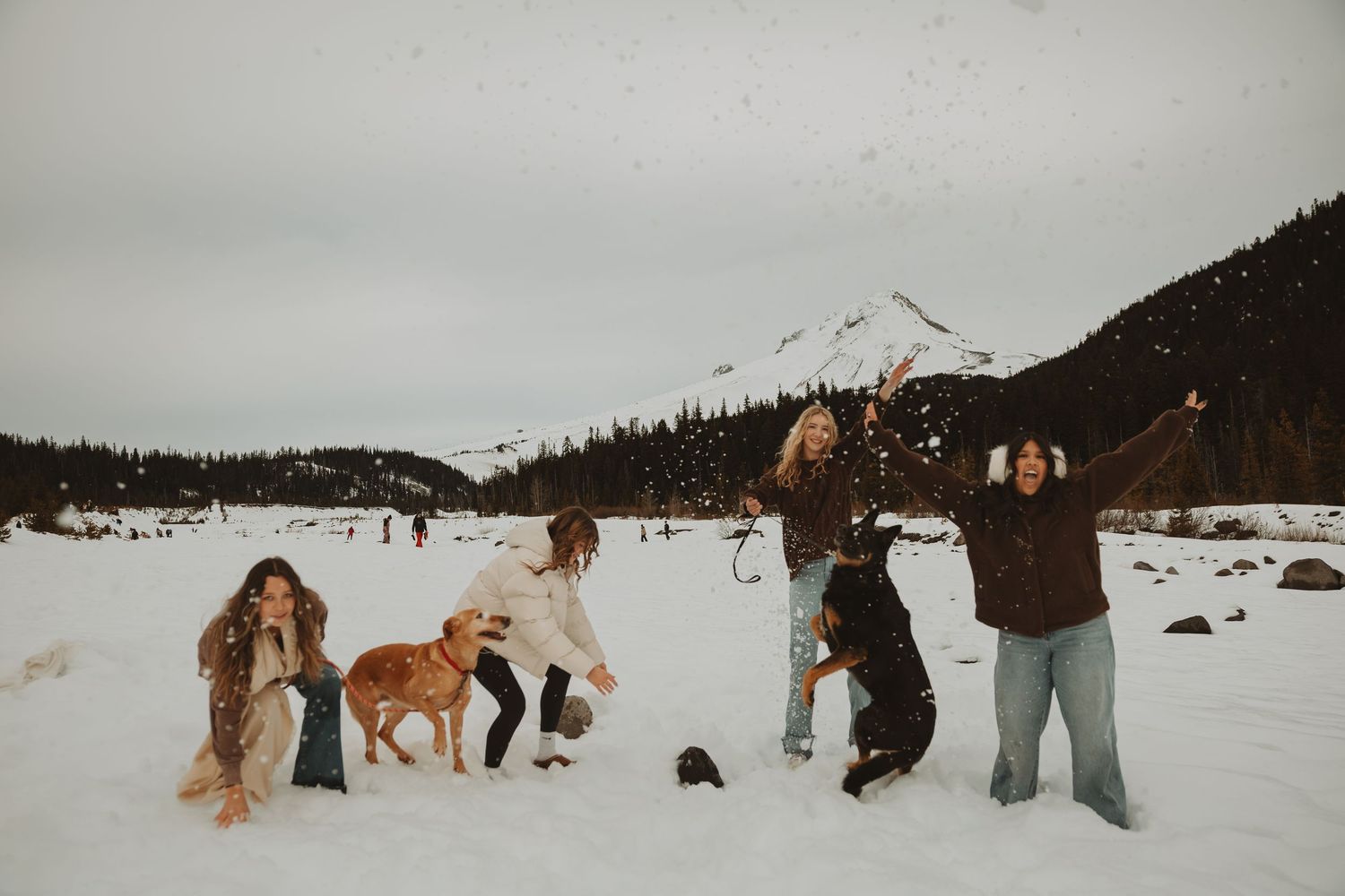 Four women and two dogs playing in the snow with a mountain backdrop.