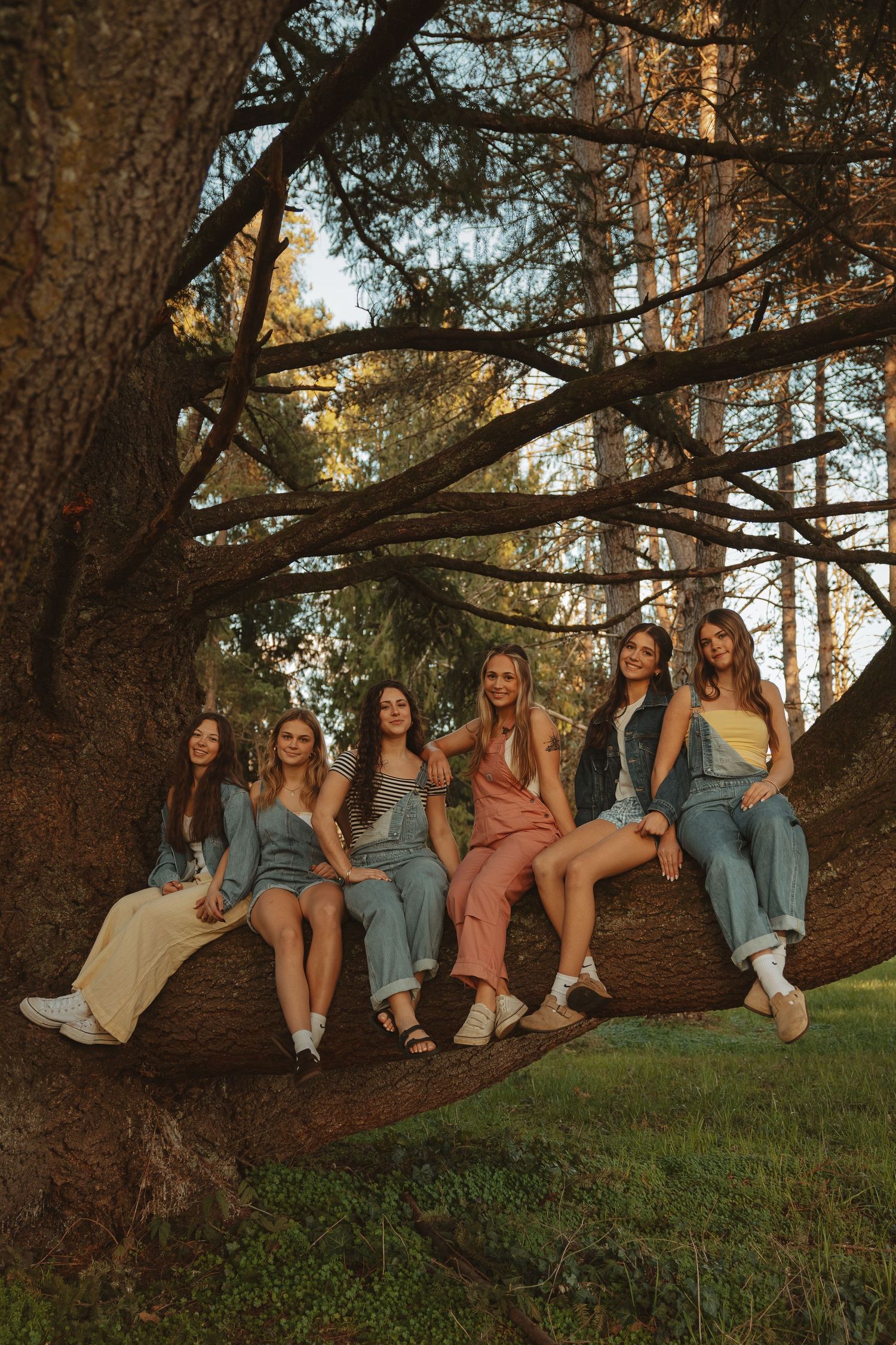 Six young women sitting together on a large tree branch in a sunlit forest, wearing casual summer outfits.