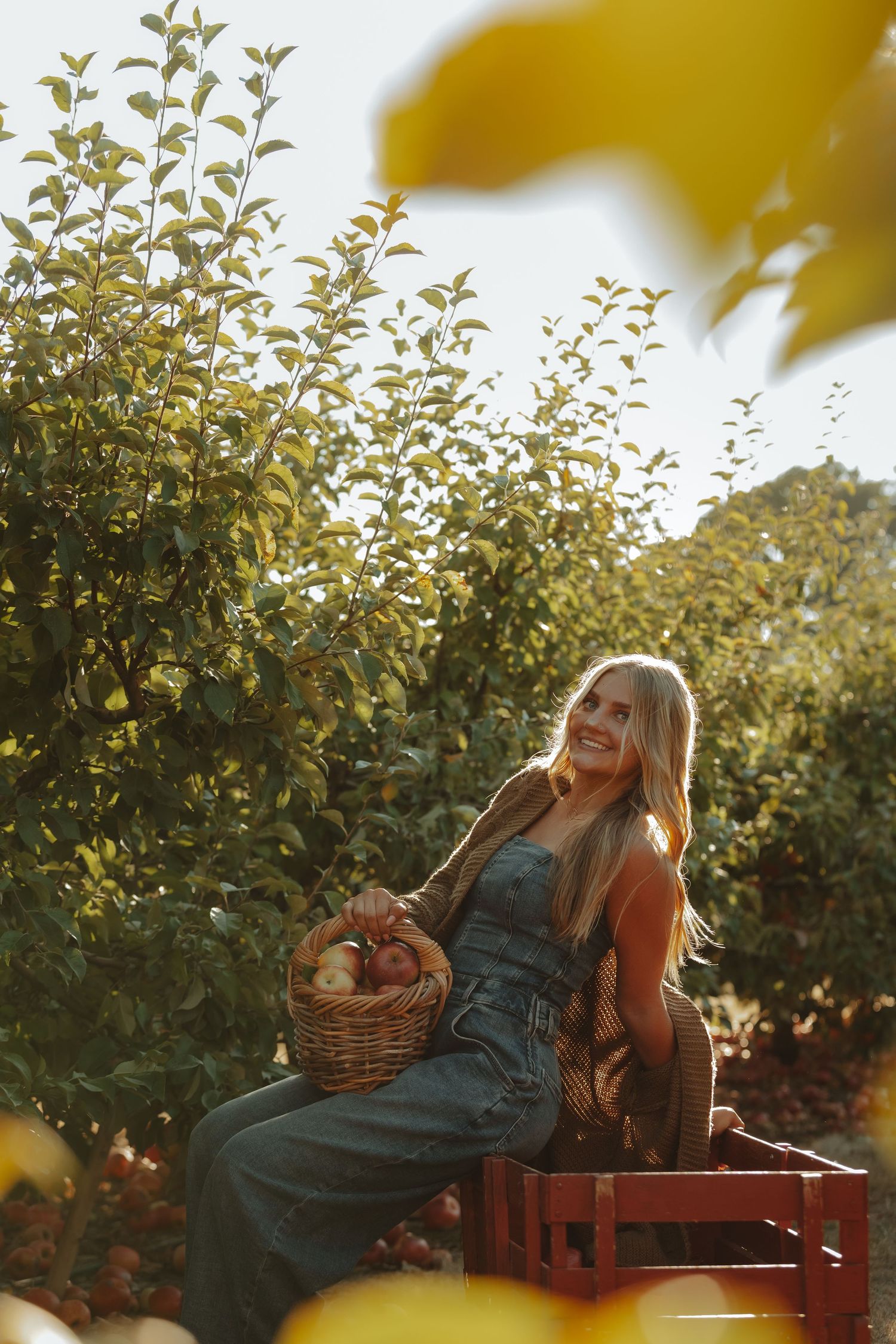 Person in denim overalls sits on wooden surface at apple orchard during golden hour with harvest basket.