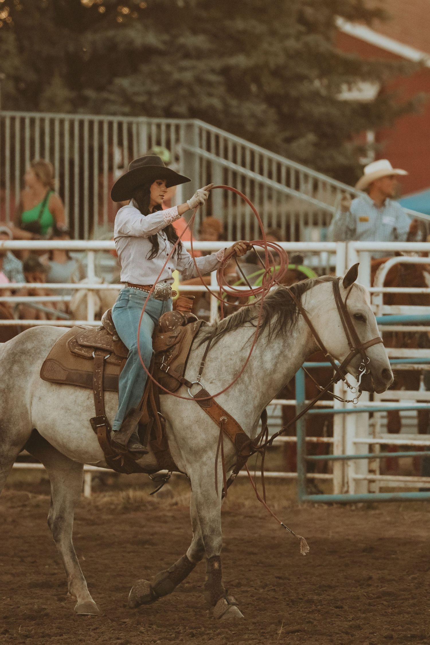 Rodeo rider on a white horse performs a bronc riding event at a western competition arena.