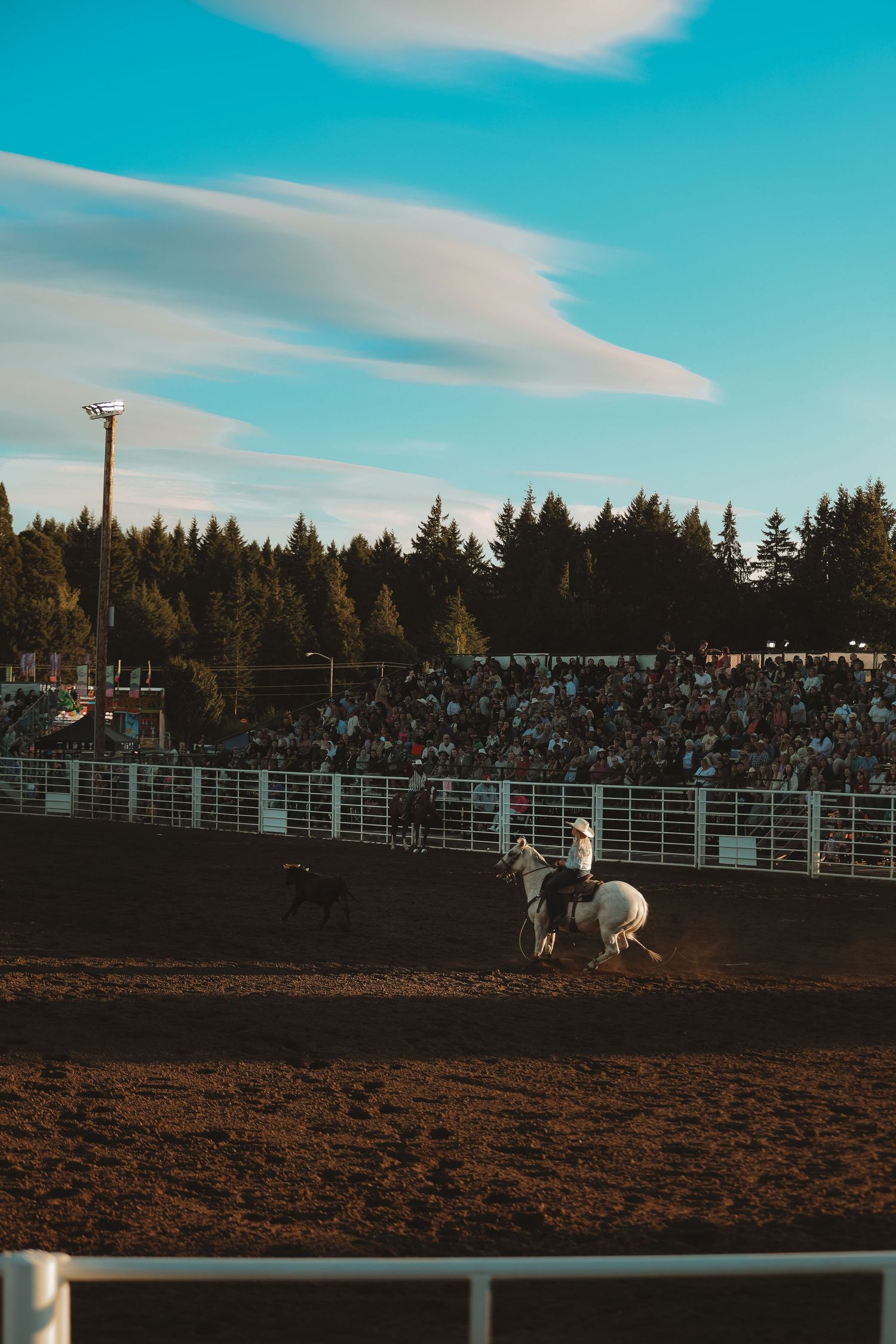 Horse and rider galloping across a dusty rodeo arena under bright blue skies.