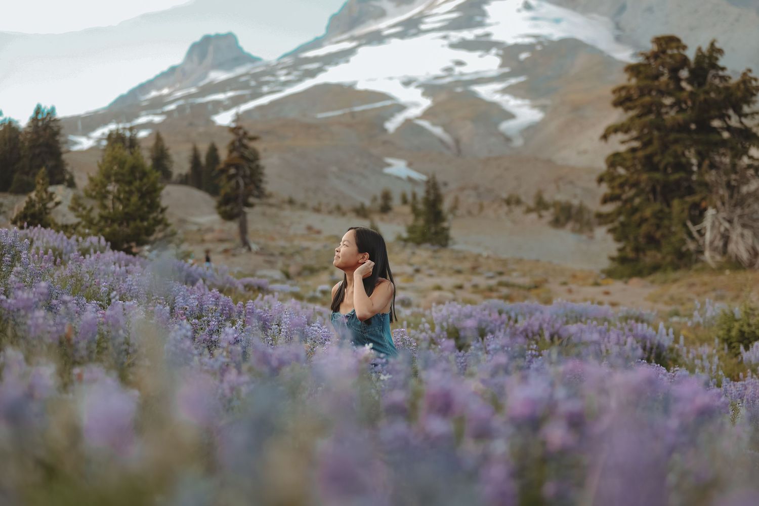 Purple wildflowers bloom in a mountain meadow with snow-capped peaks in the distance.