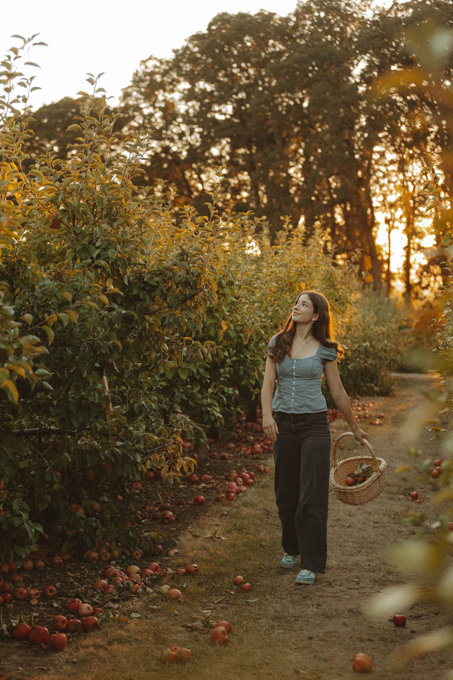 A person walks through a pumpkin patch at sunset with golden light filtering through autumn trees.