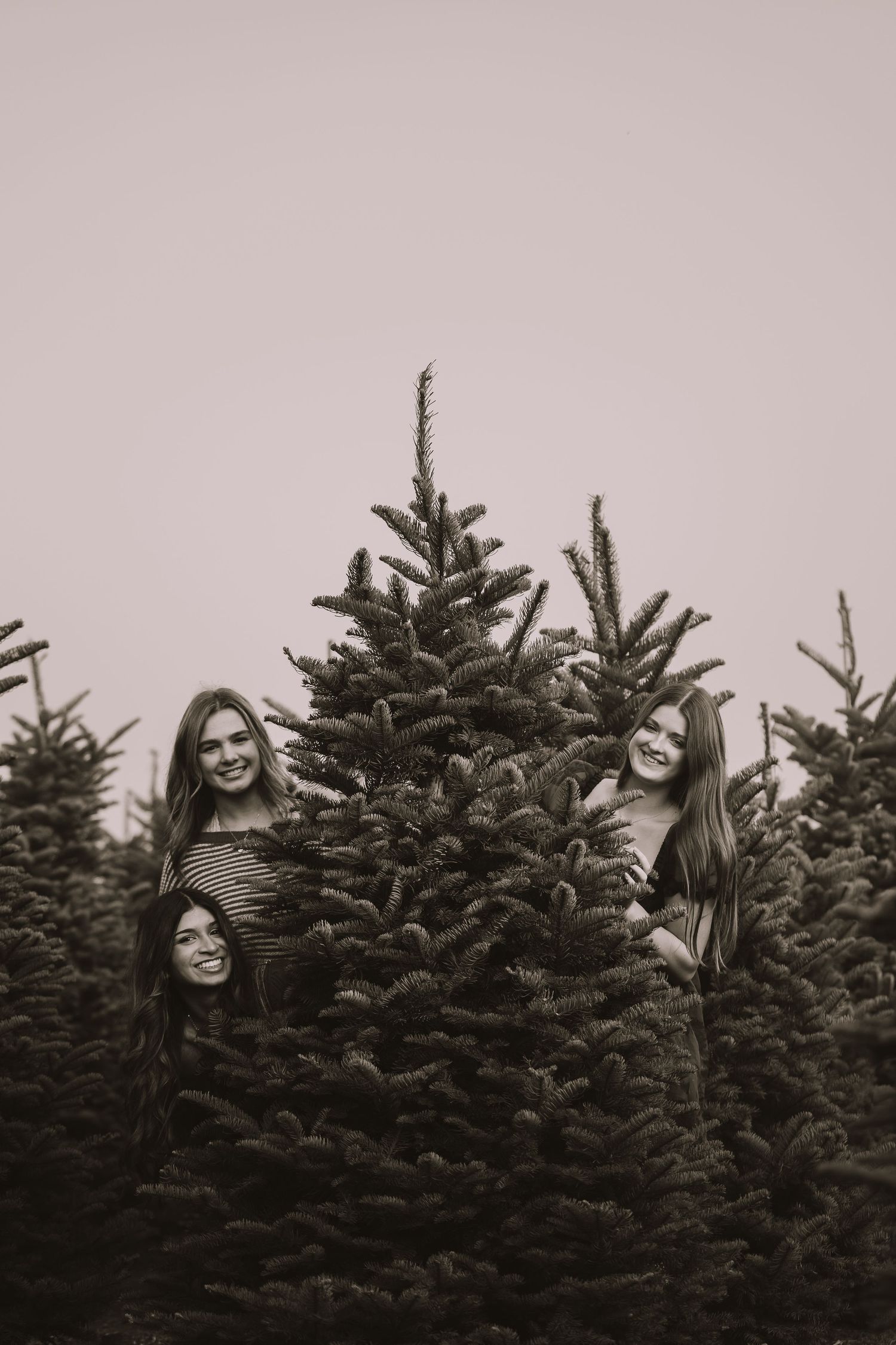 Black and white portrait session among evergreen trees at a Christmas tree farm.