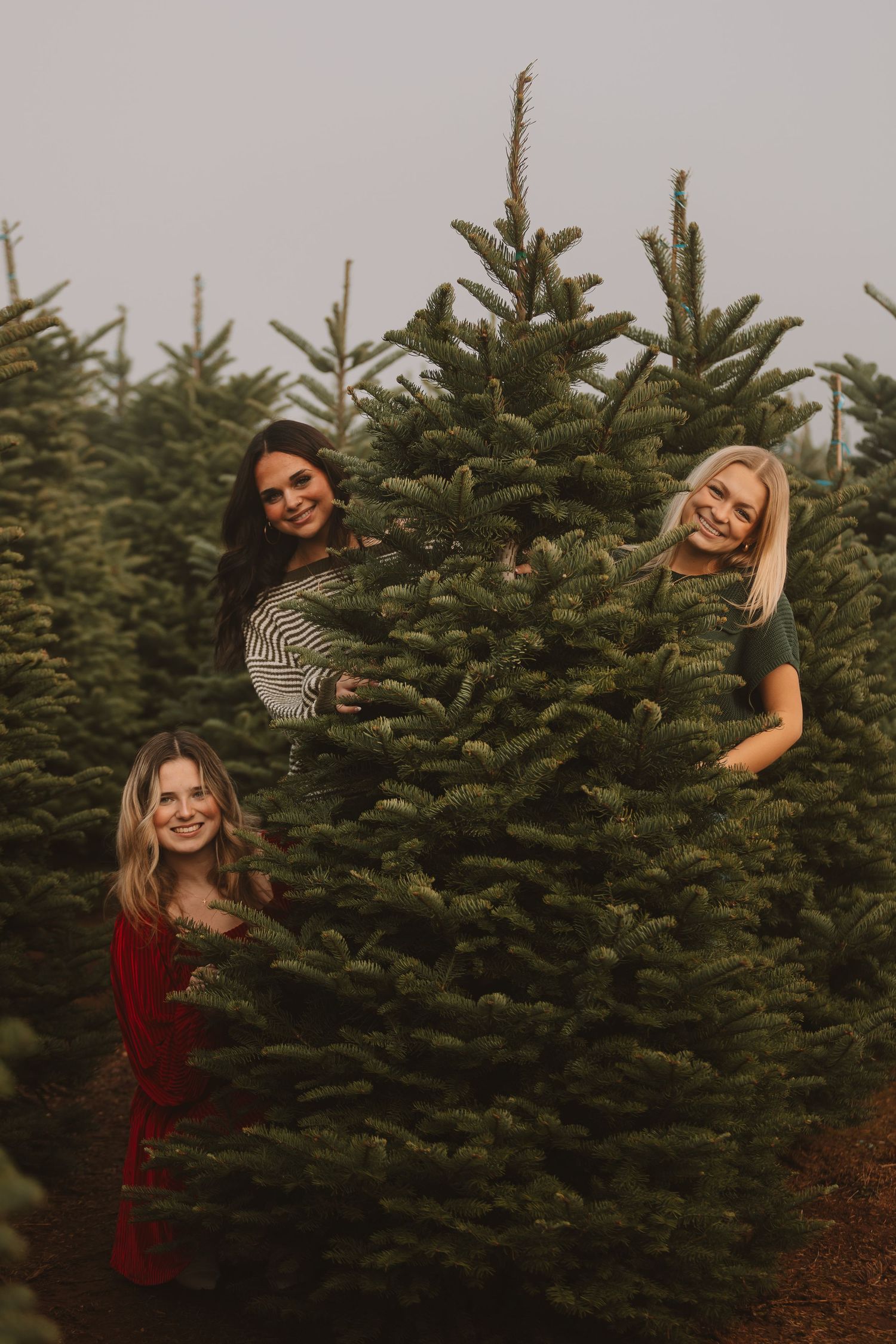 Group poses playfully among evergreen trees during outdoor photo session.