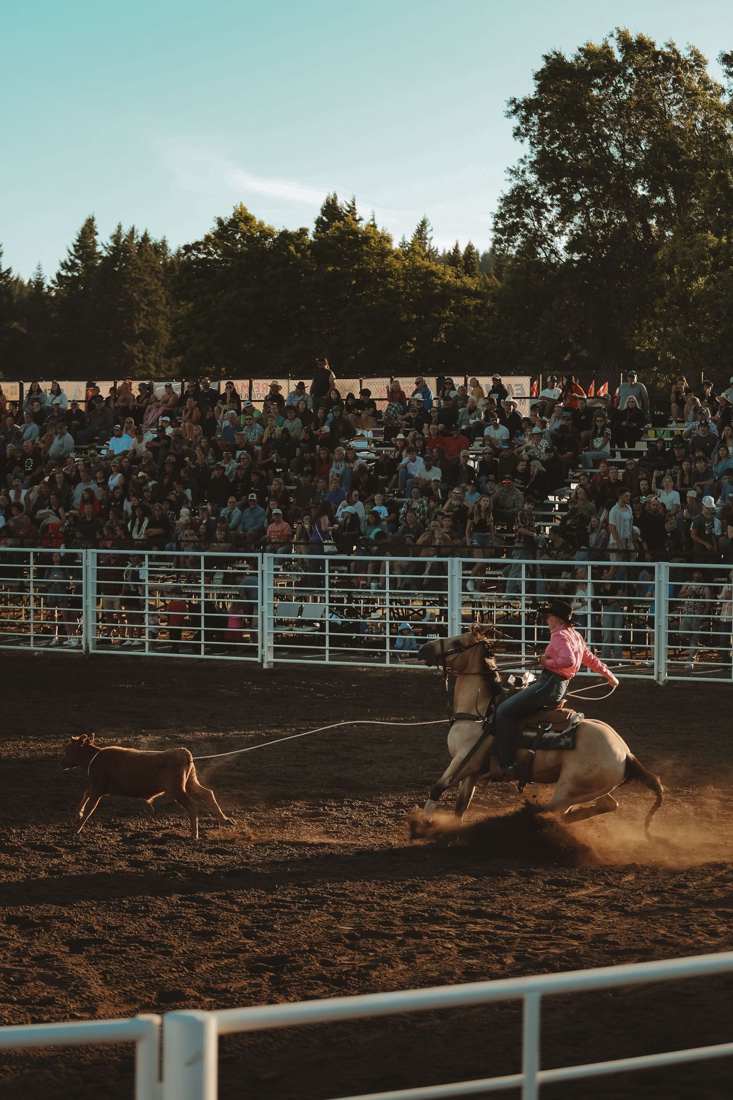 Dramatic rodeo scene with a rider on horseback kicking up dust in the evening light.