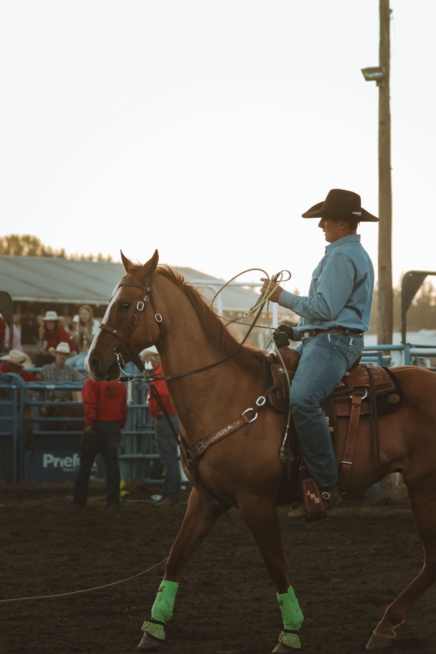 Rider in blue shirt and neon leg wraps mounting a horse in rodeo arena at dusk.