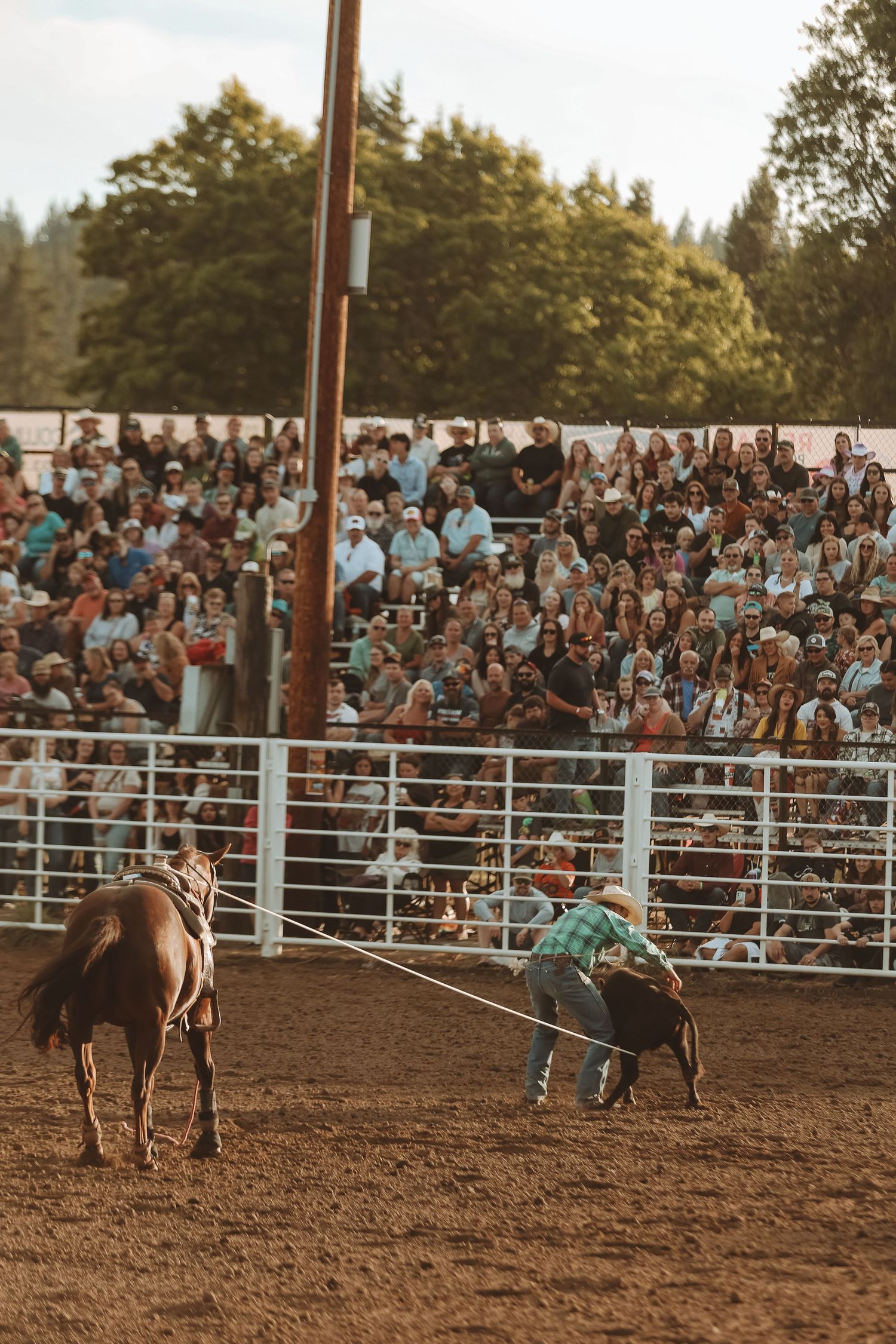 Rodeo performers in action with a crowded grandstand of spectators watching the show.