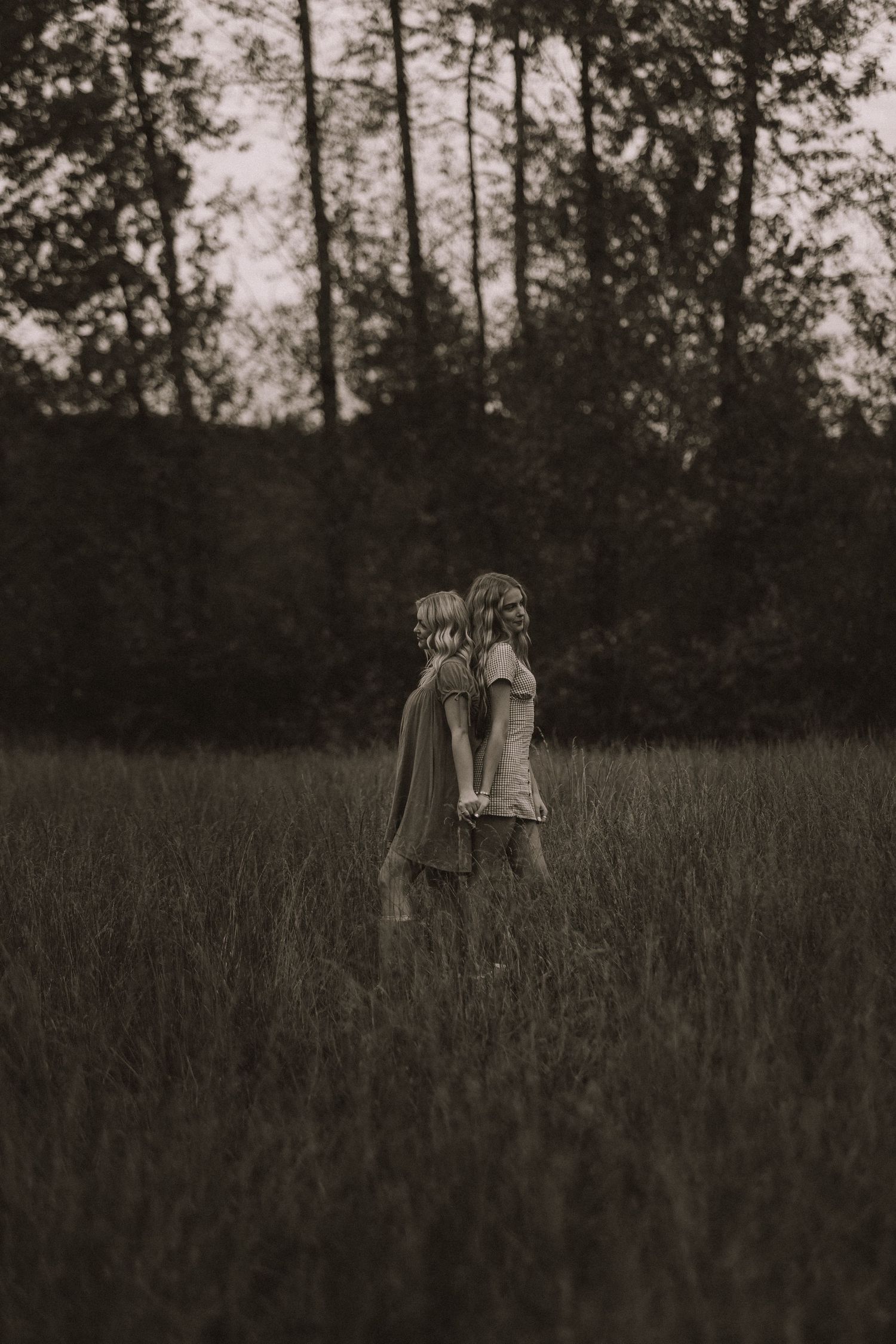 Silhouettes walking through tall grass at dusk with trees in background.