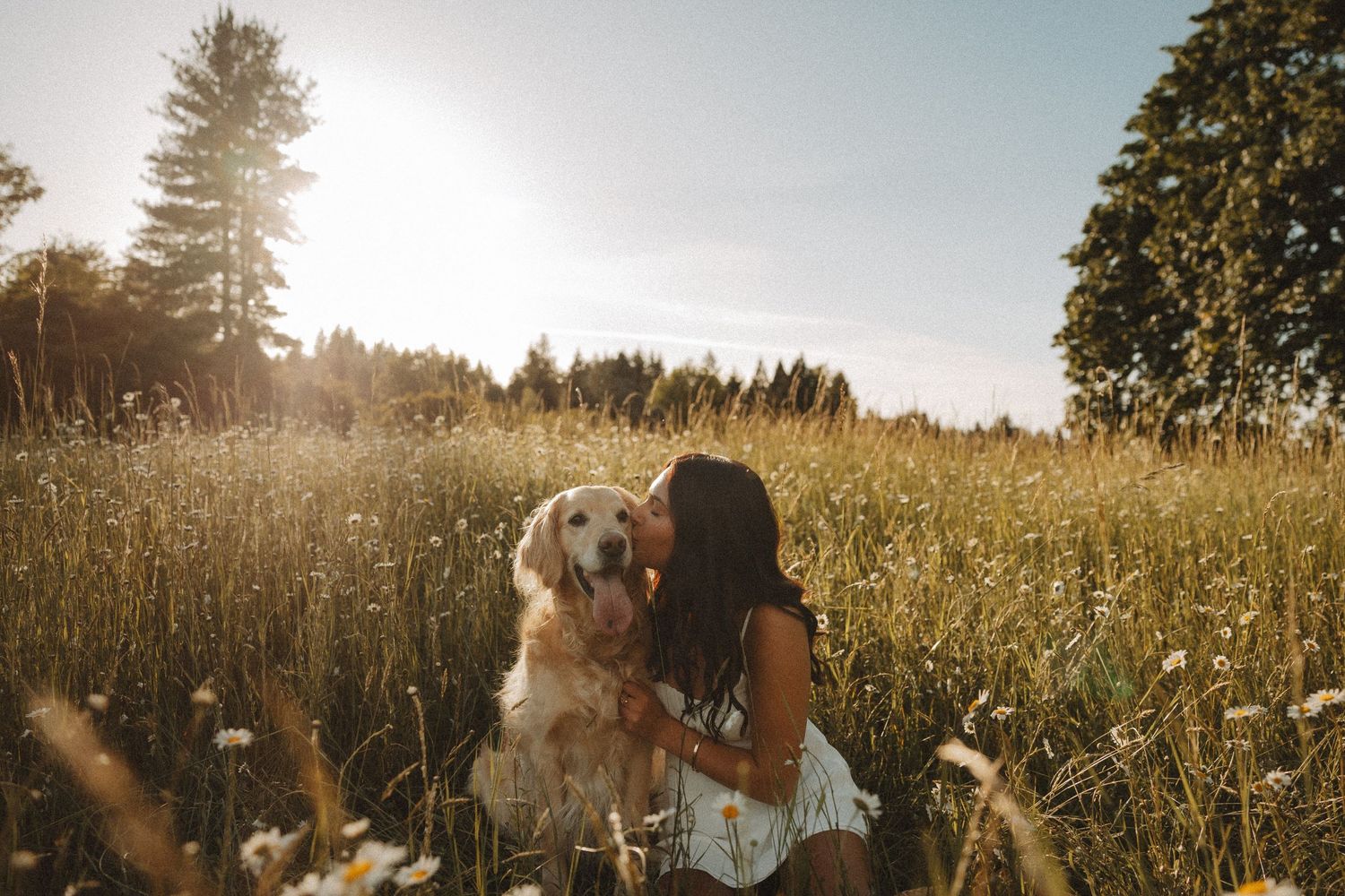 Woman kissing her golden retriever dog in a sunny wildflower meadow with trees in the background.