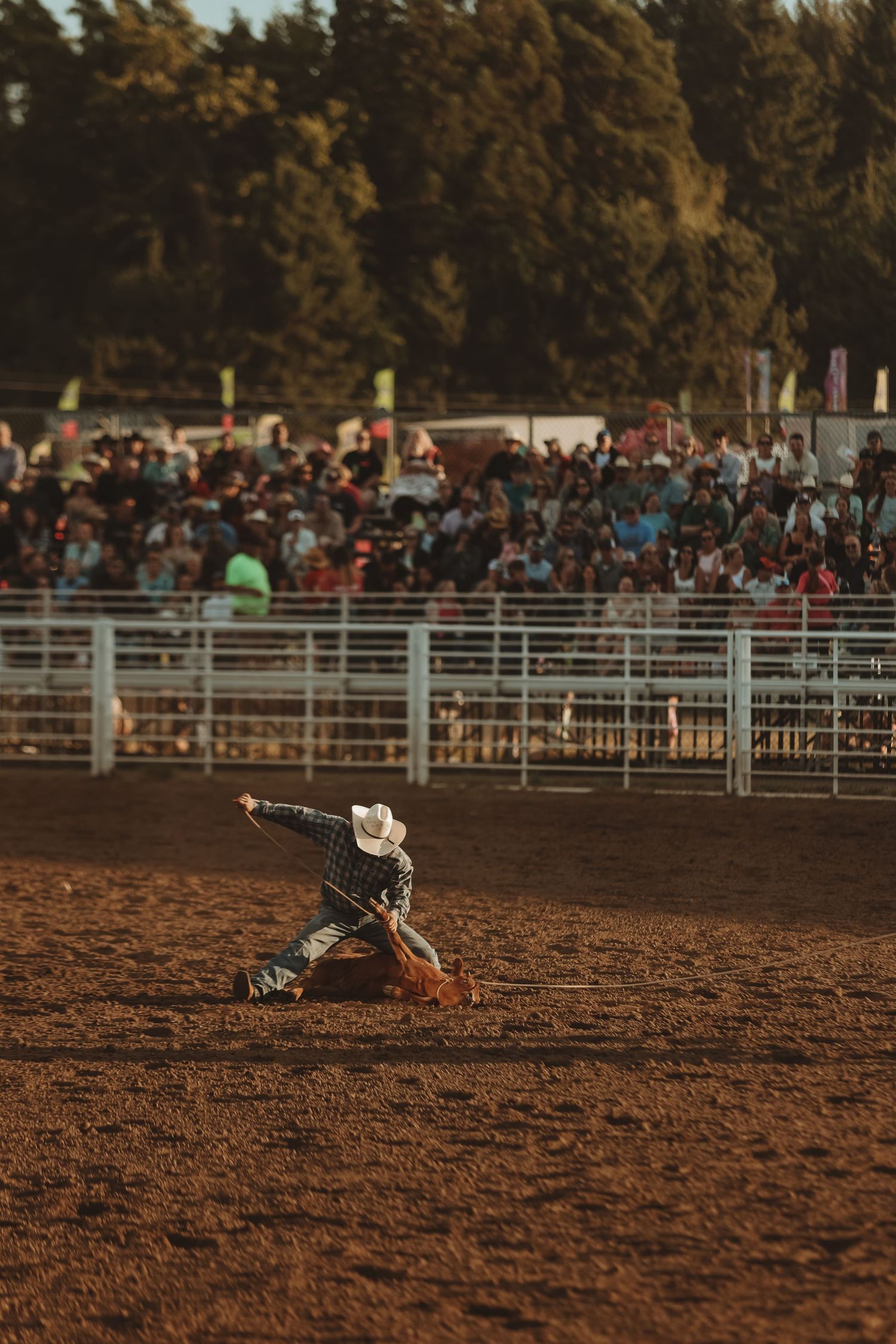 Rodeo participant in action on the dirt arena floor with spectators watching from bleachers.