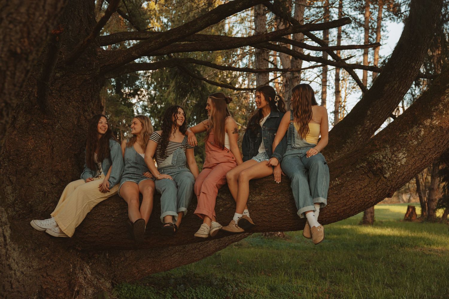 Six young women sitting together on a large tree branch in a sunlit park, wearing casual summer outfits.