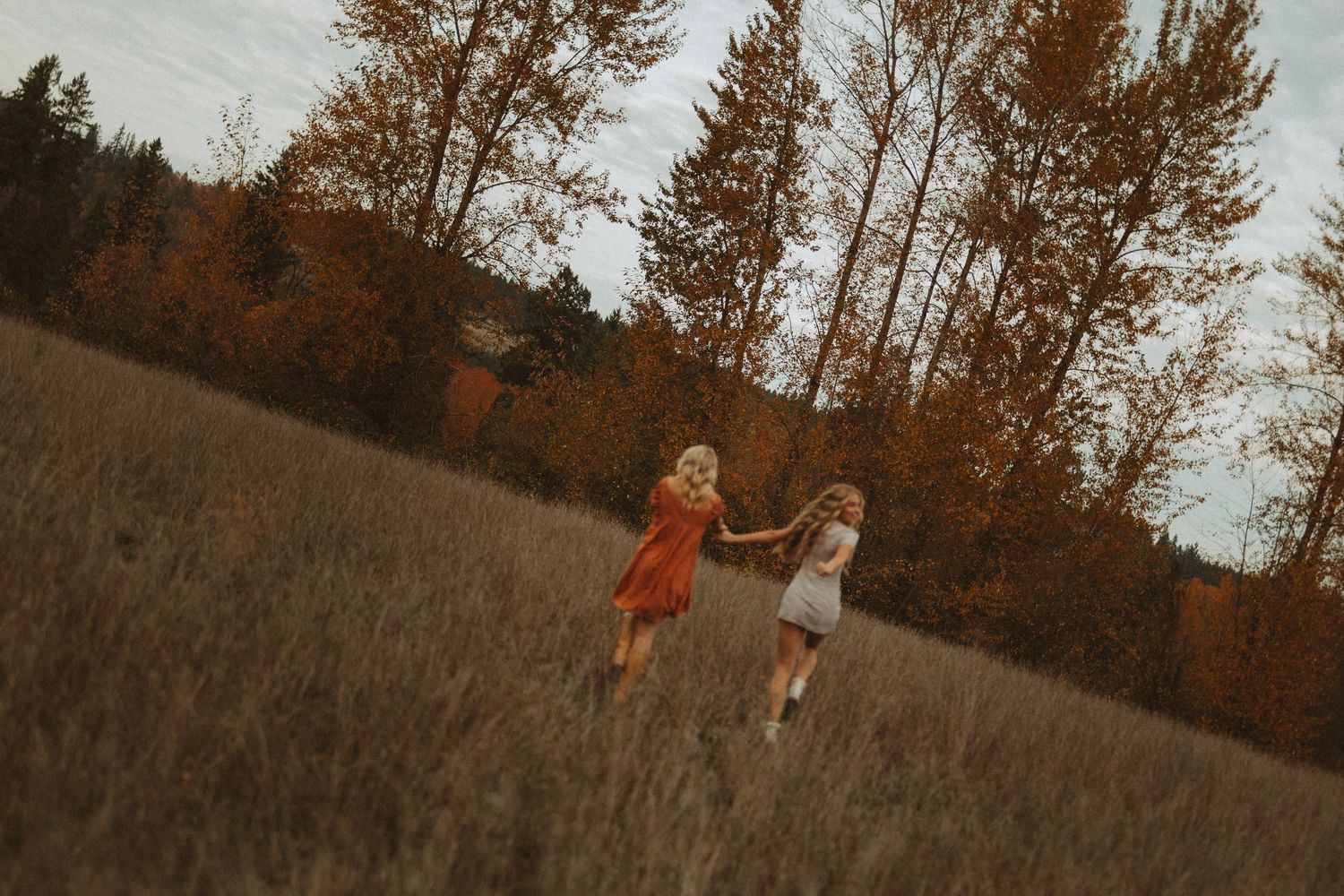A group runs playfully through a golden autumn field at sunset with tall trees in the background.
